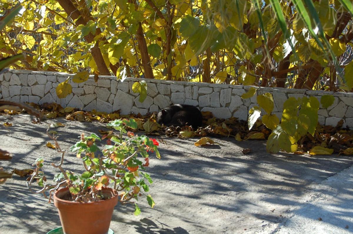 Photo 58