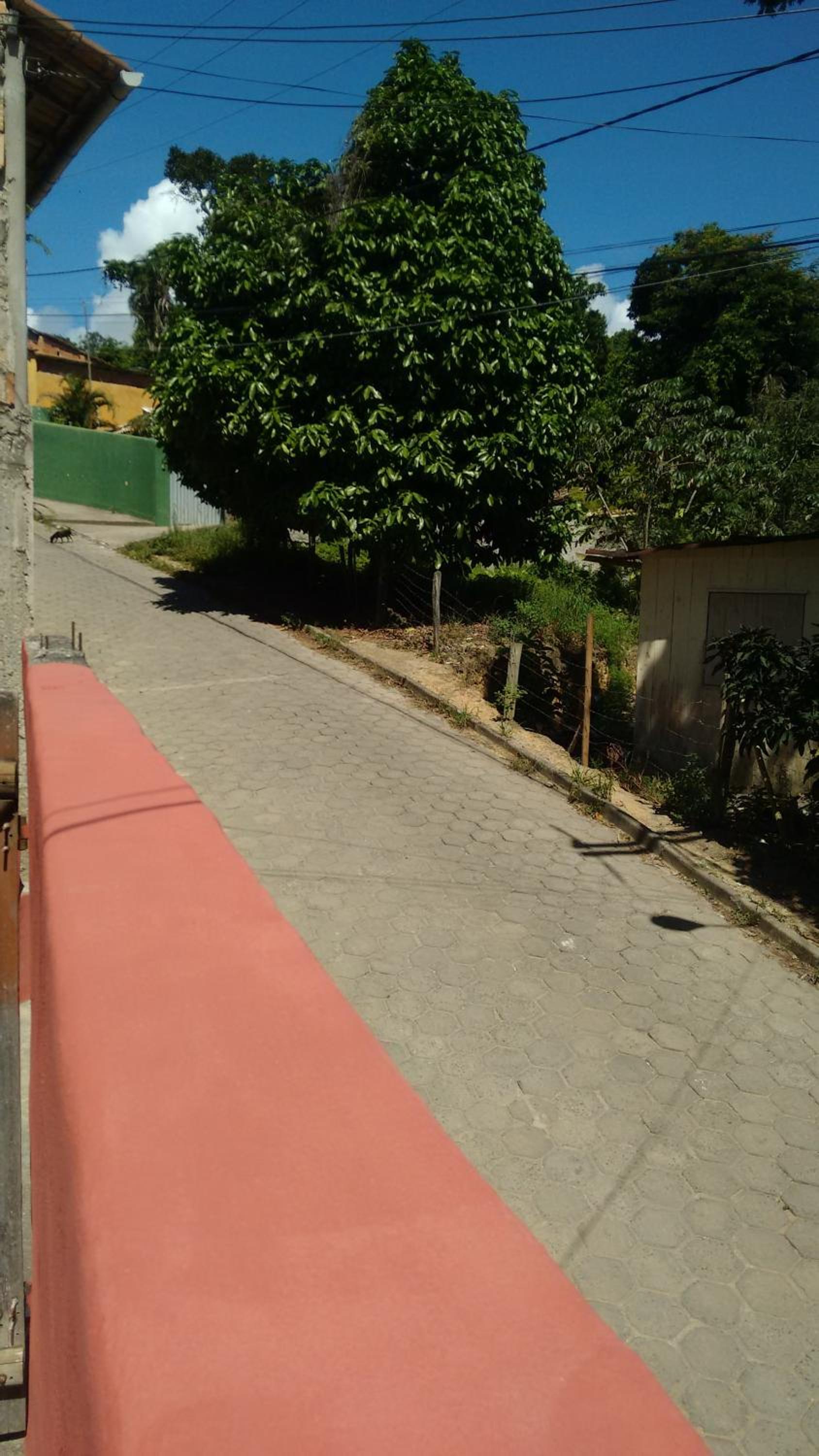 Casa Trancosinho
