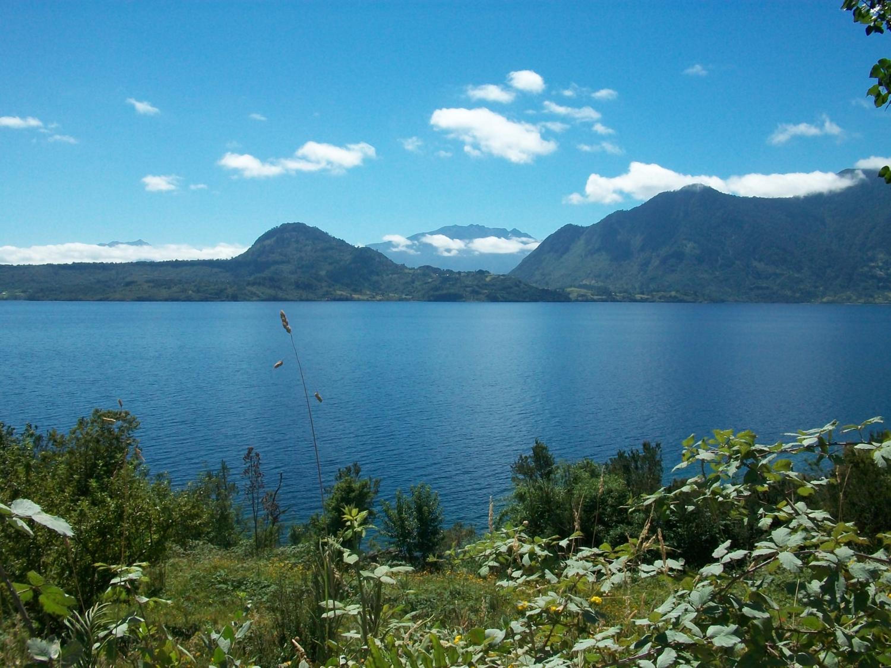Photo 24