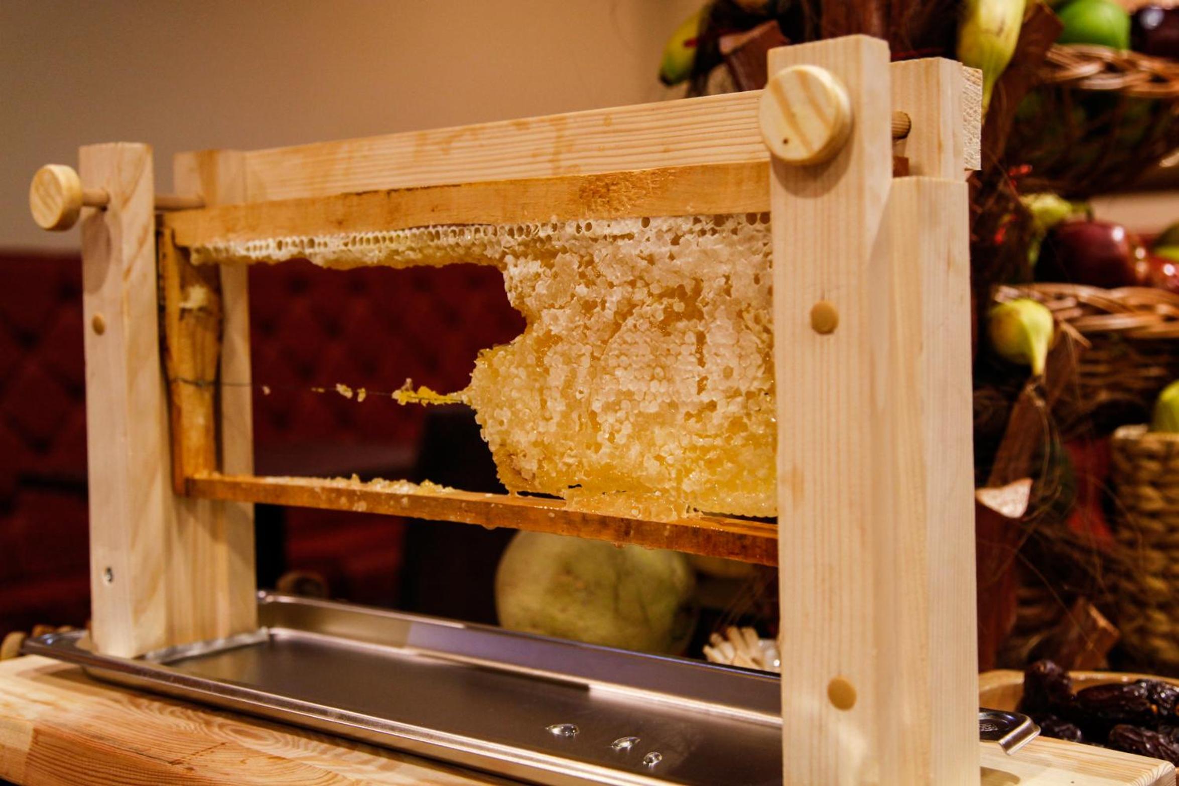 Dortmund Vacations - LivInn Hotel - Property Image 3