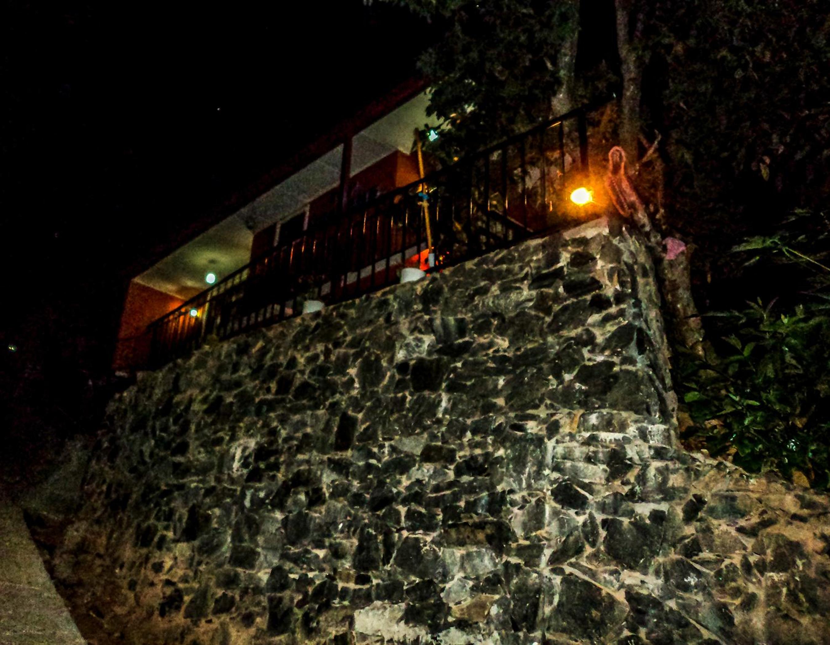 Photo 41