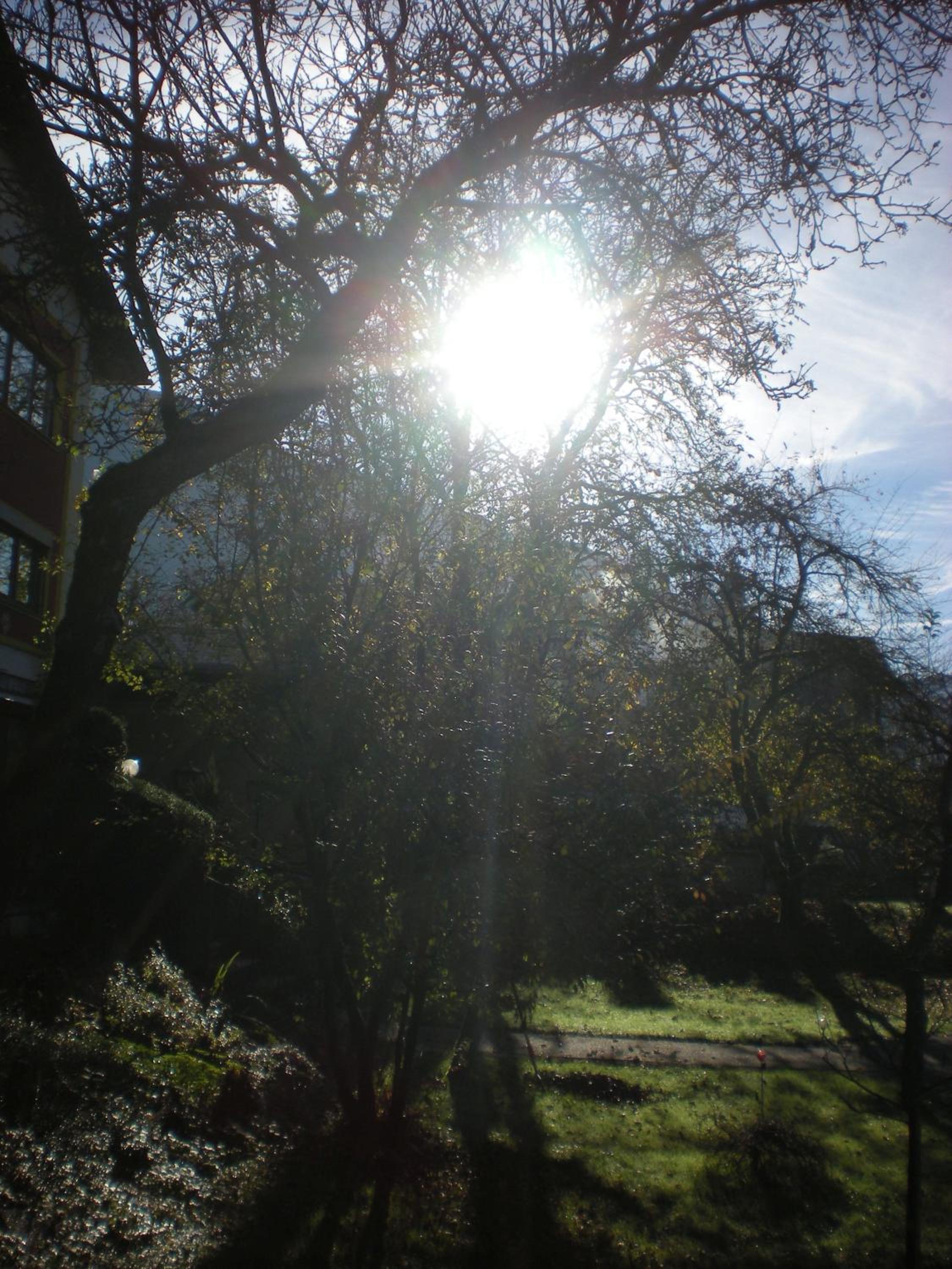 Pension Leprich