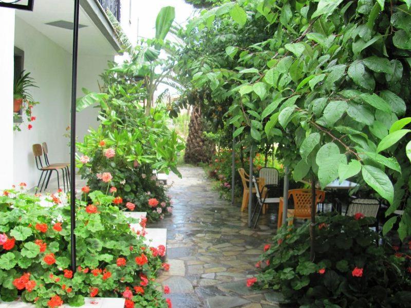 Acapoulco apartments