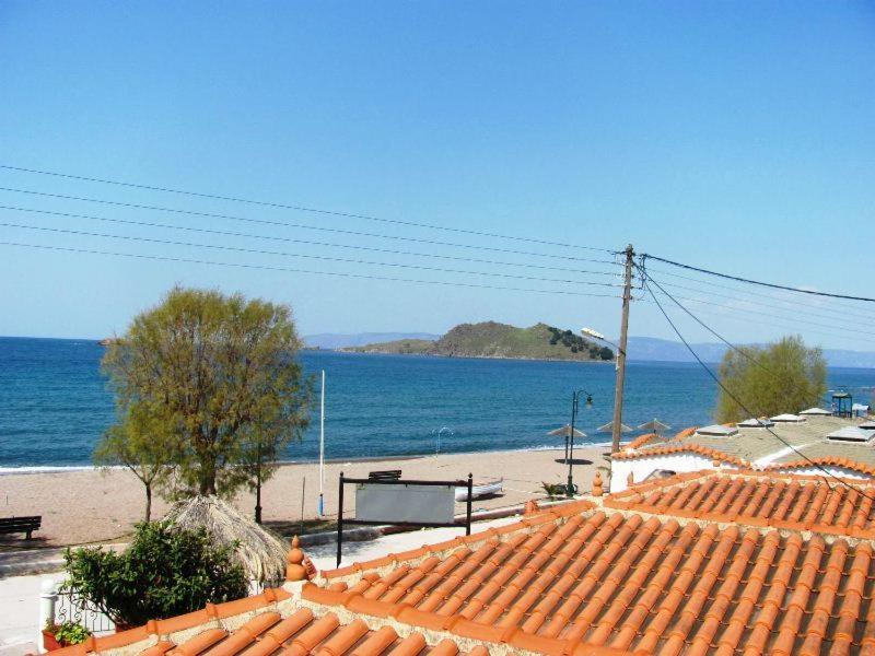 Acapoulco apartments
