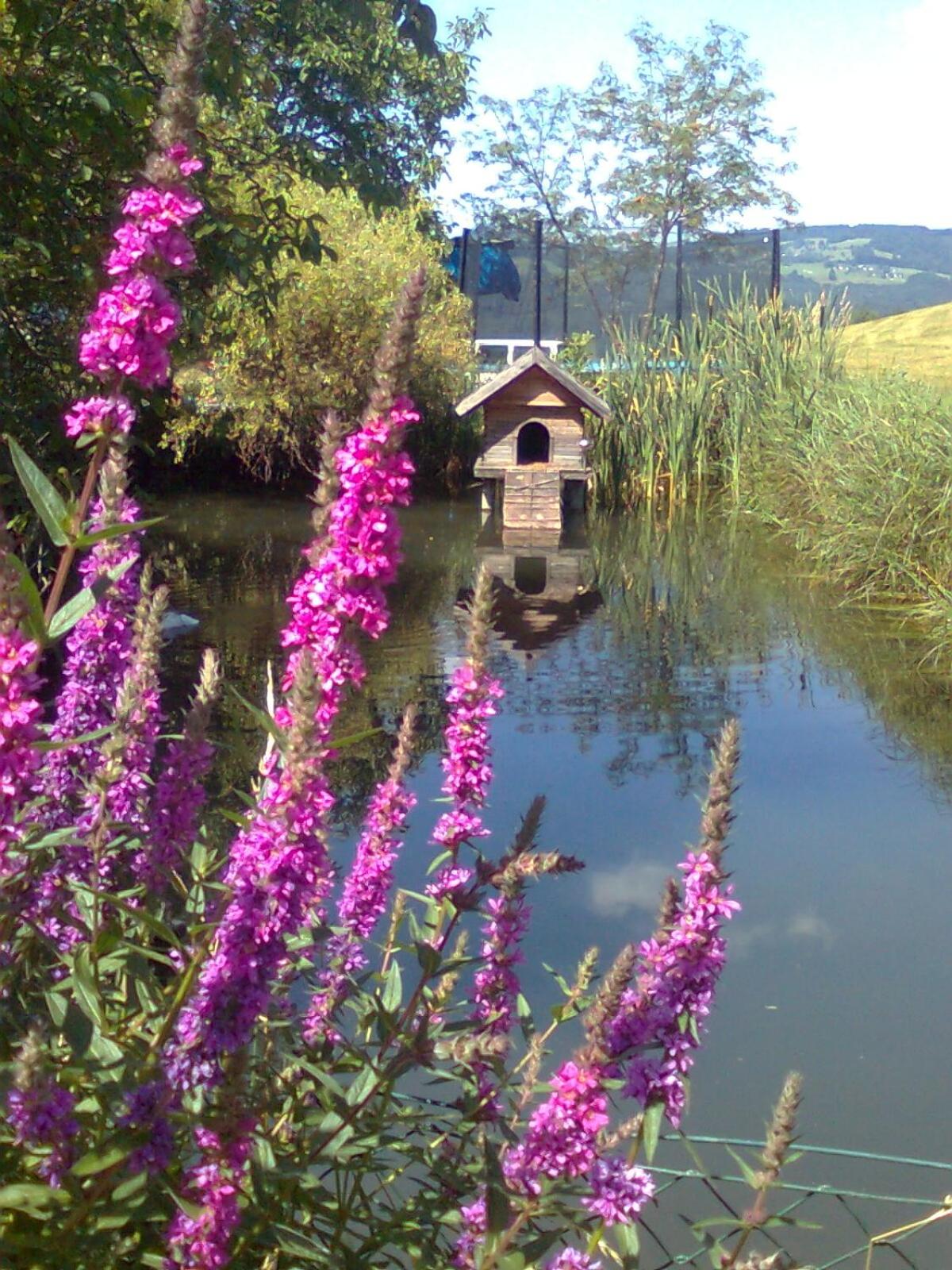 Biohof Schwanser
