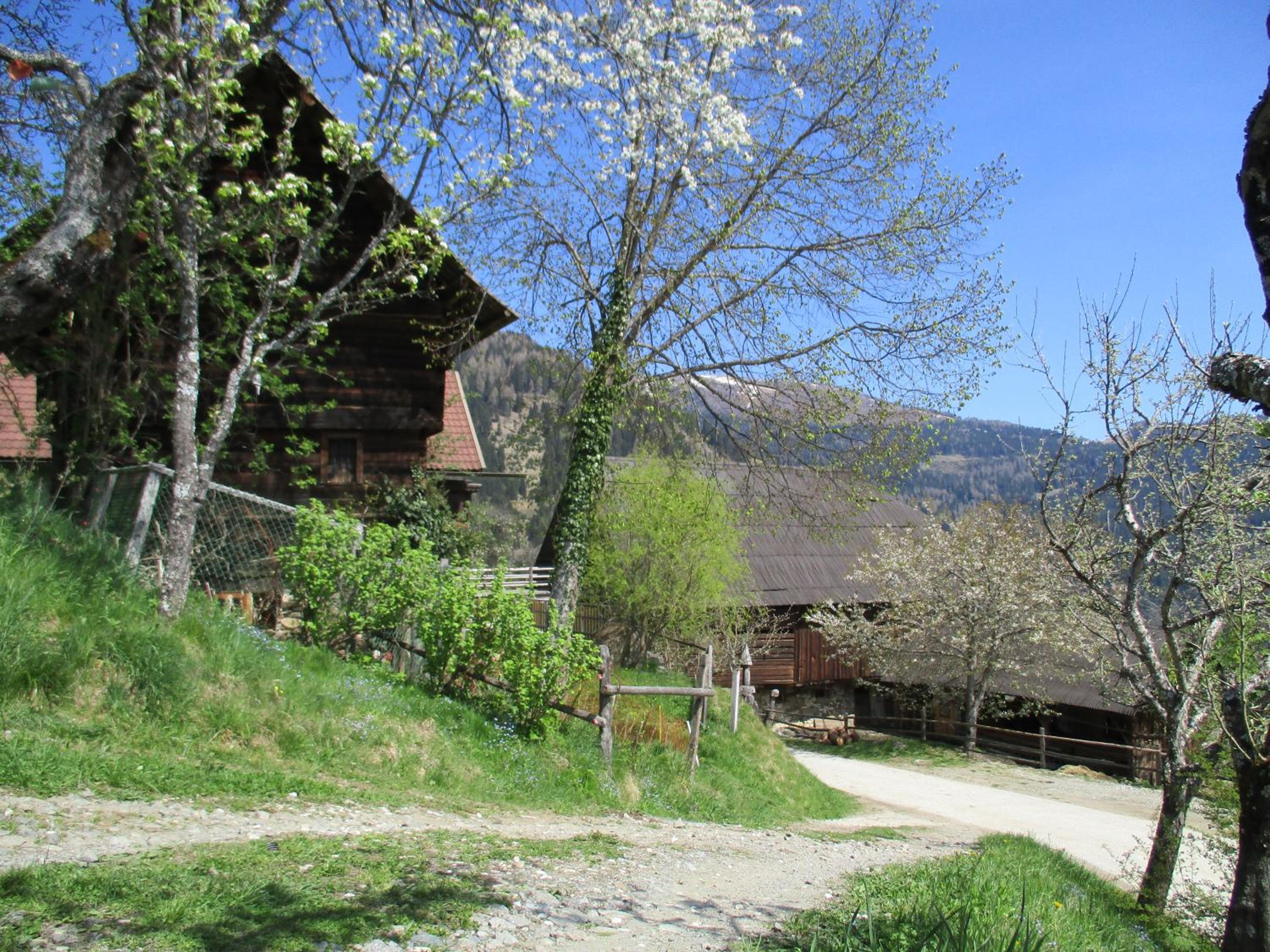 Photo 9