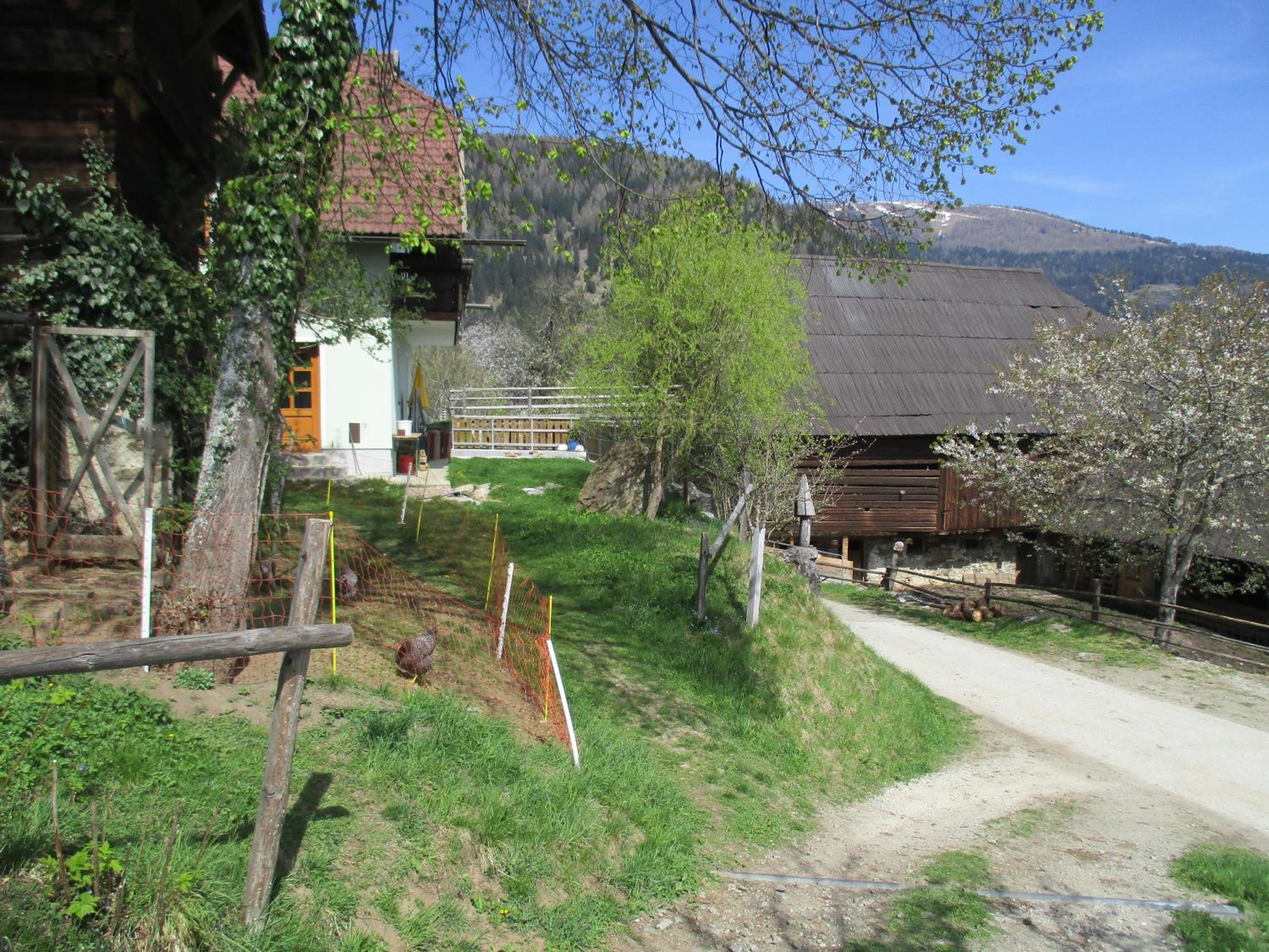 Photo 12