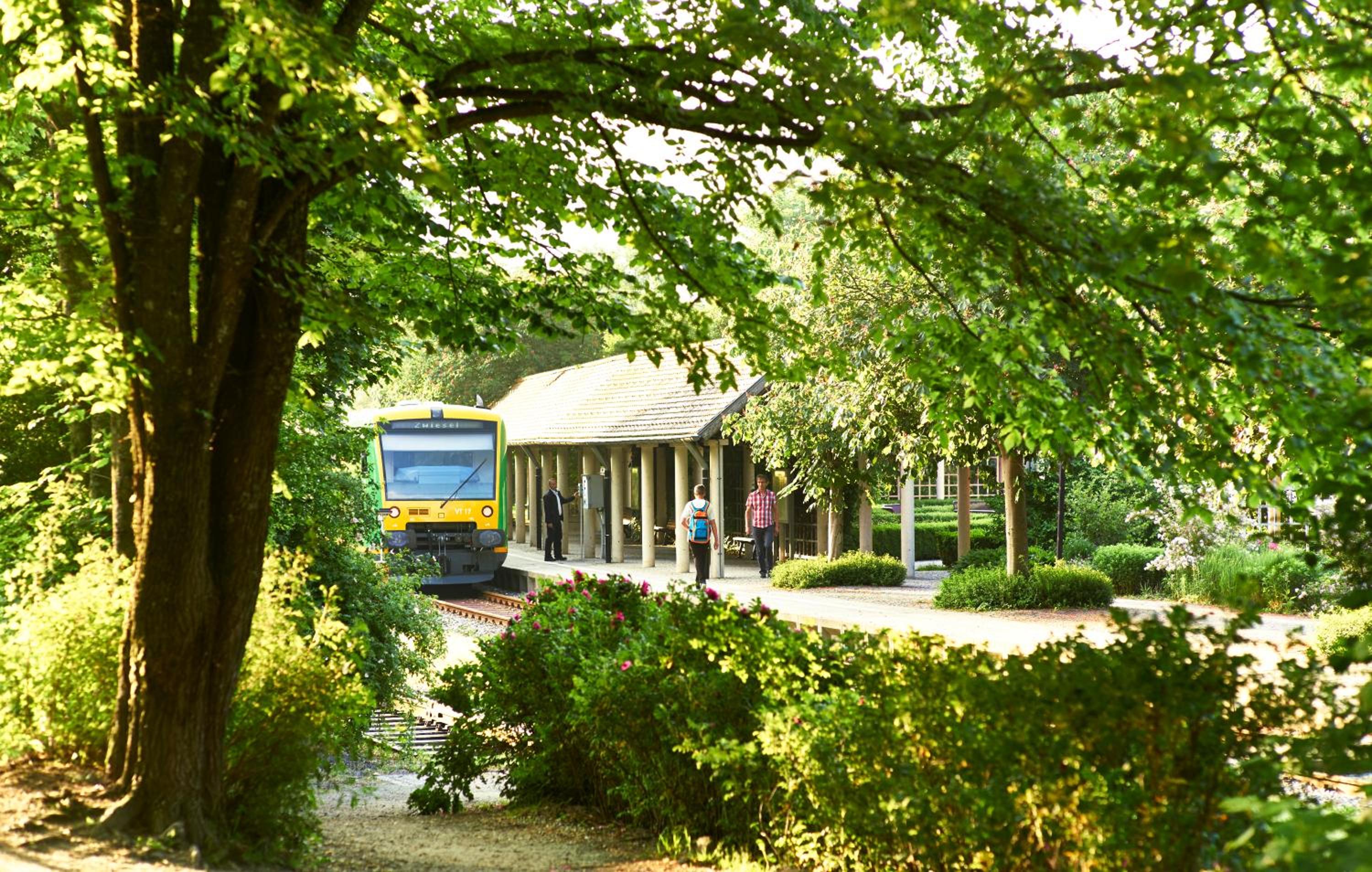 Rehwinkel