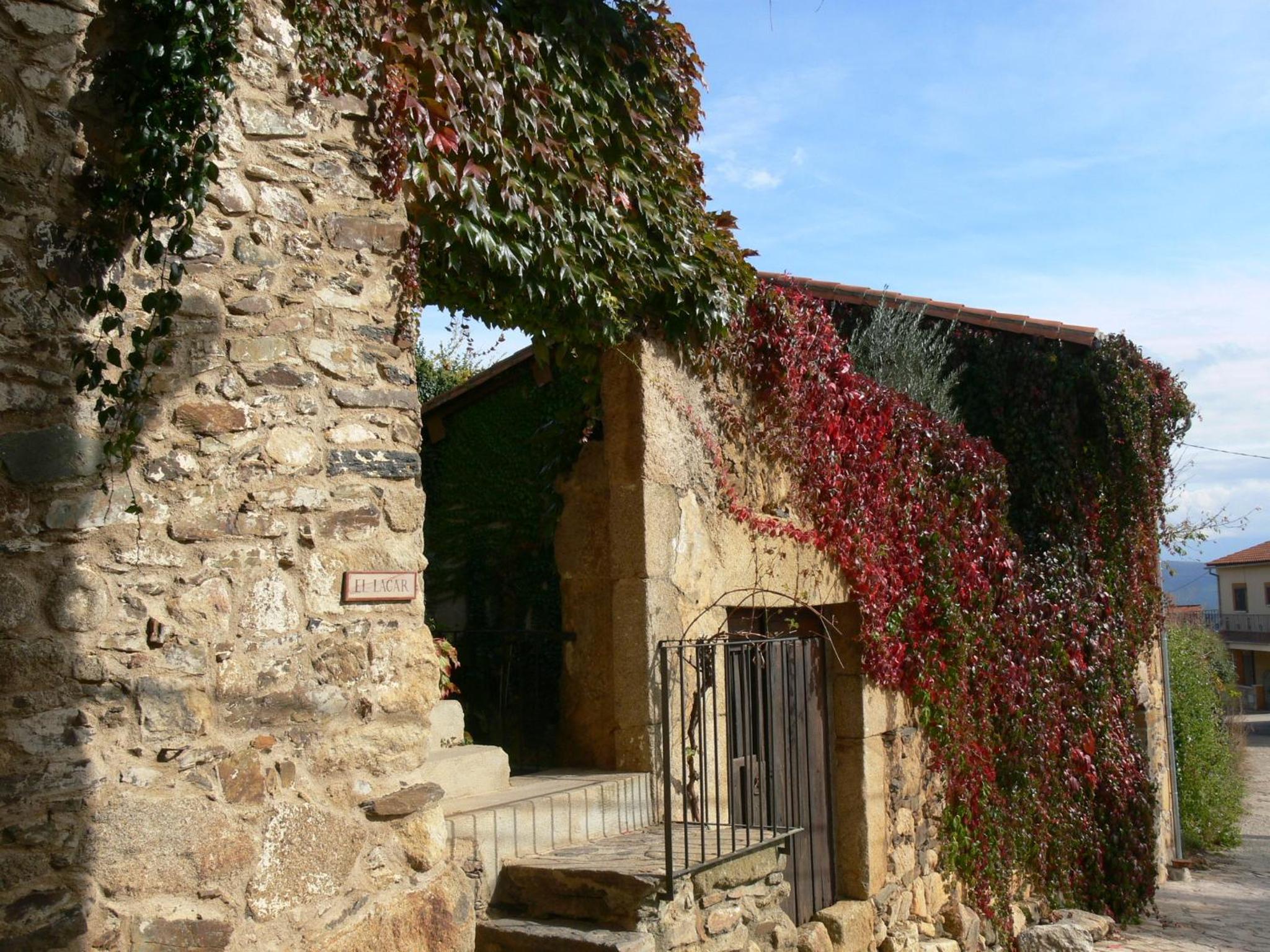 Photo 42