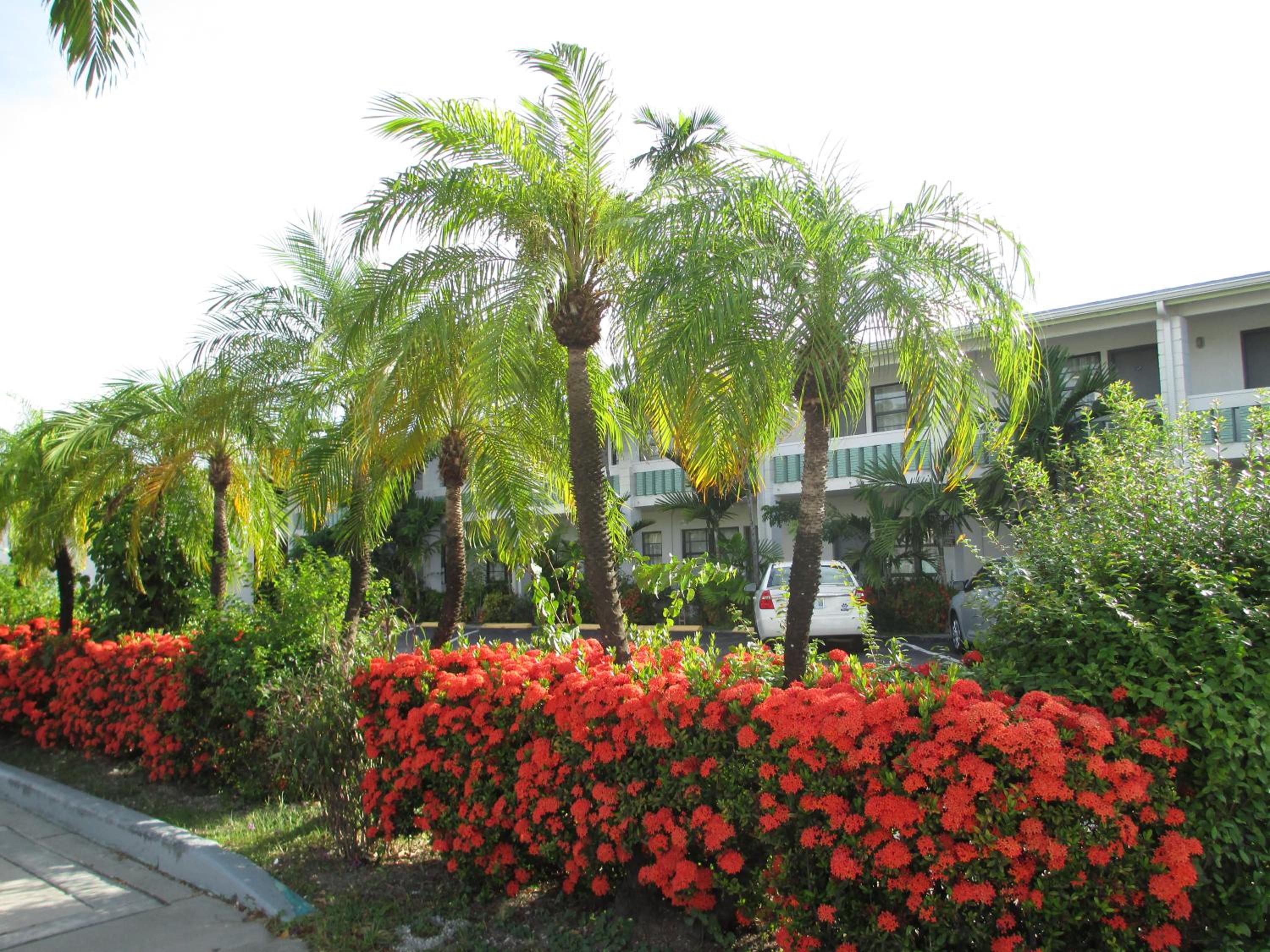 Shalimar Motel