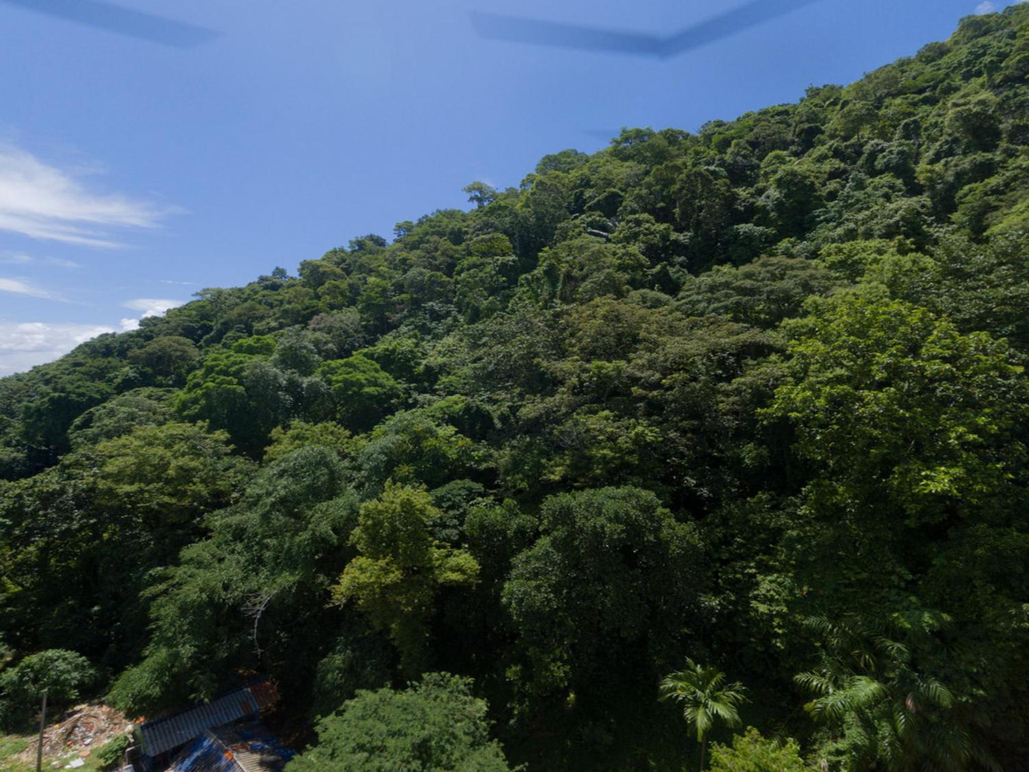 Rim Khao Jungle Resort