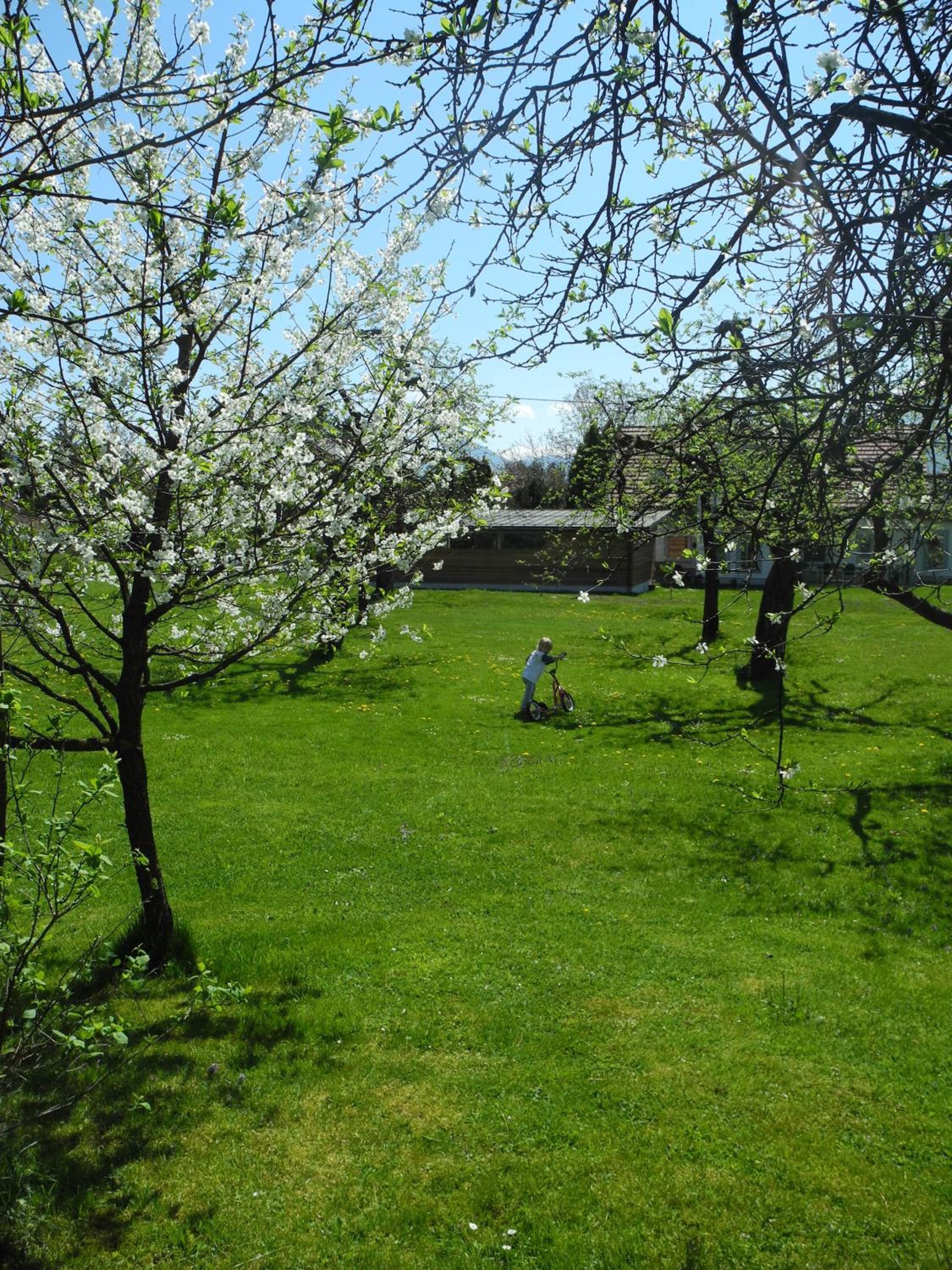 Ferienwohnung Sima