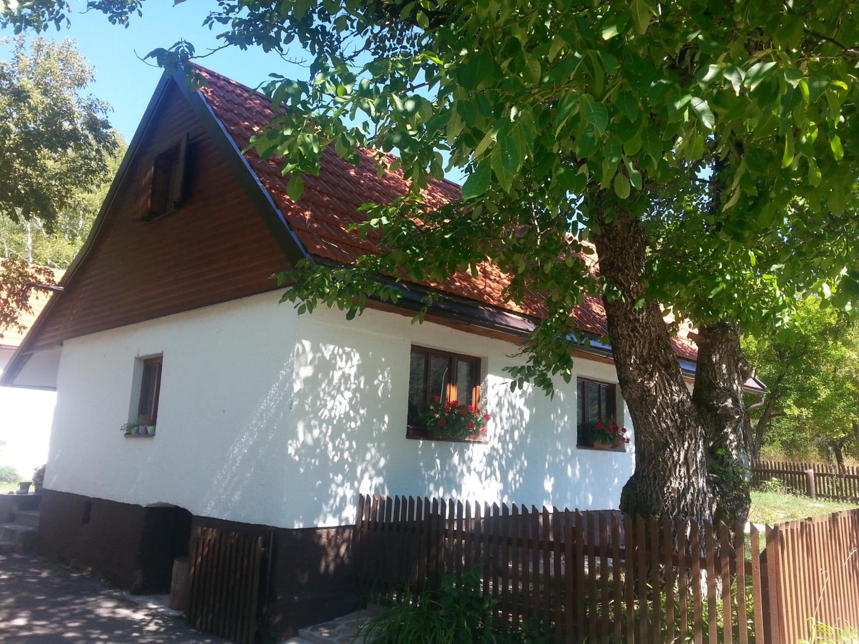 Holiday Home Rizvan City view 4