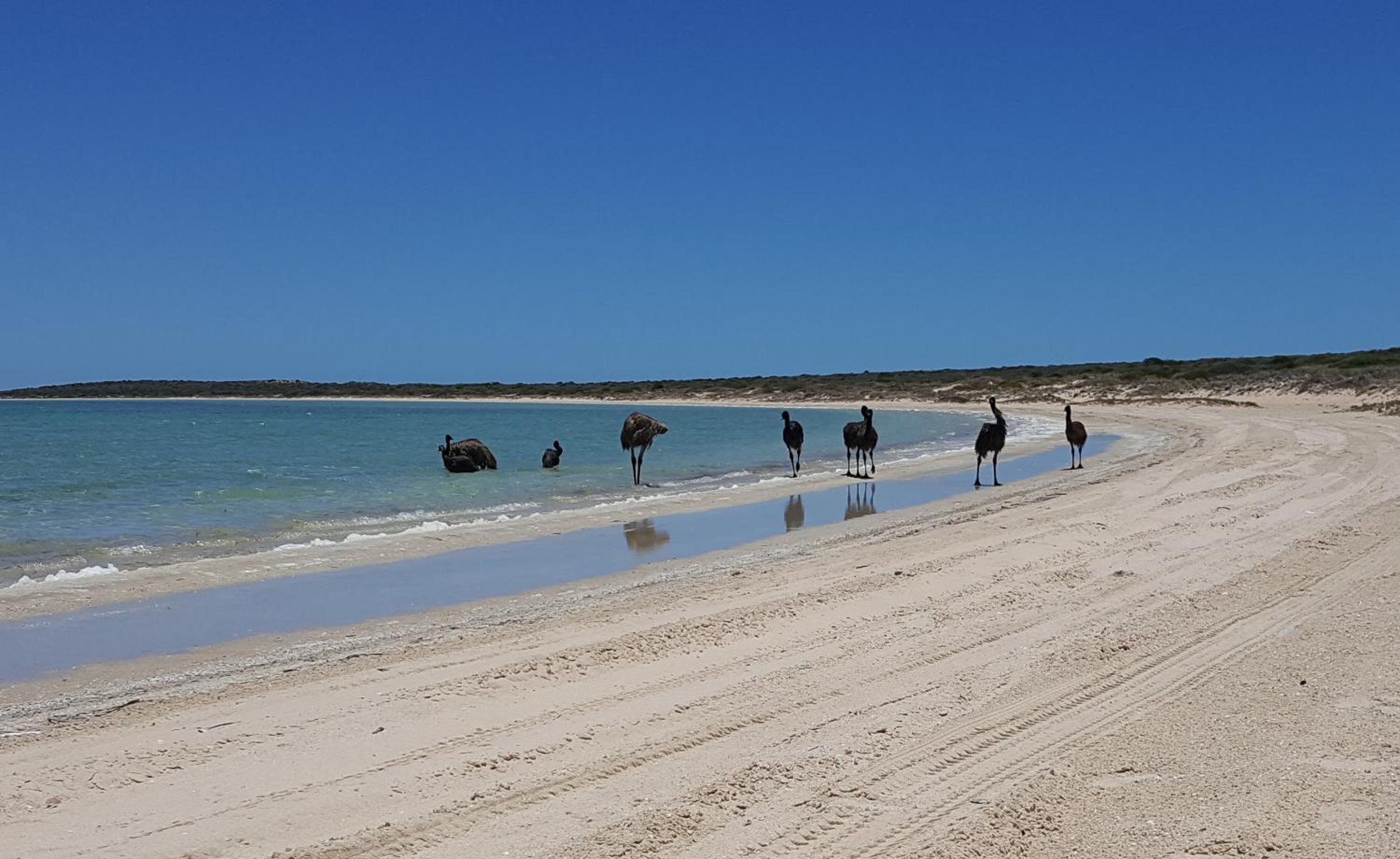 On the Deck @ Shark Bay