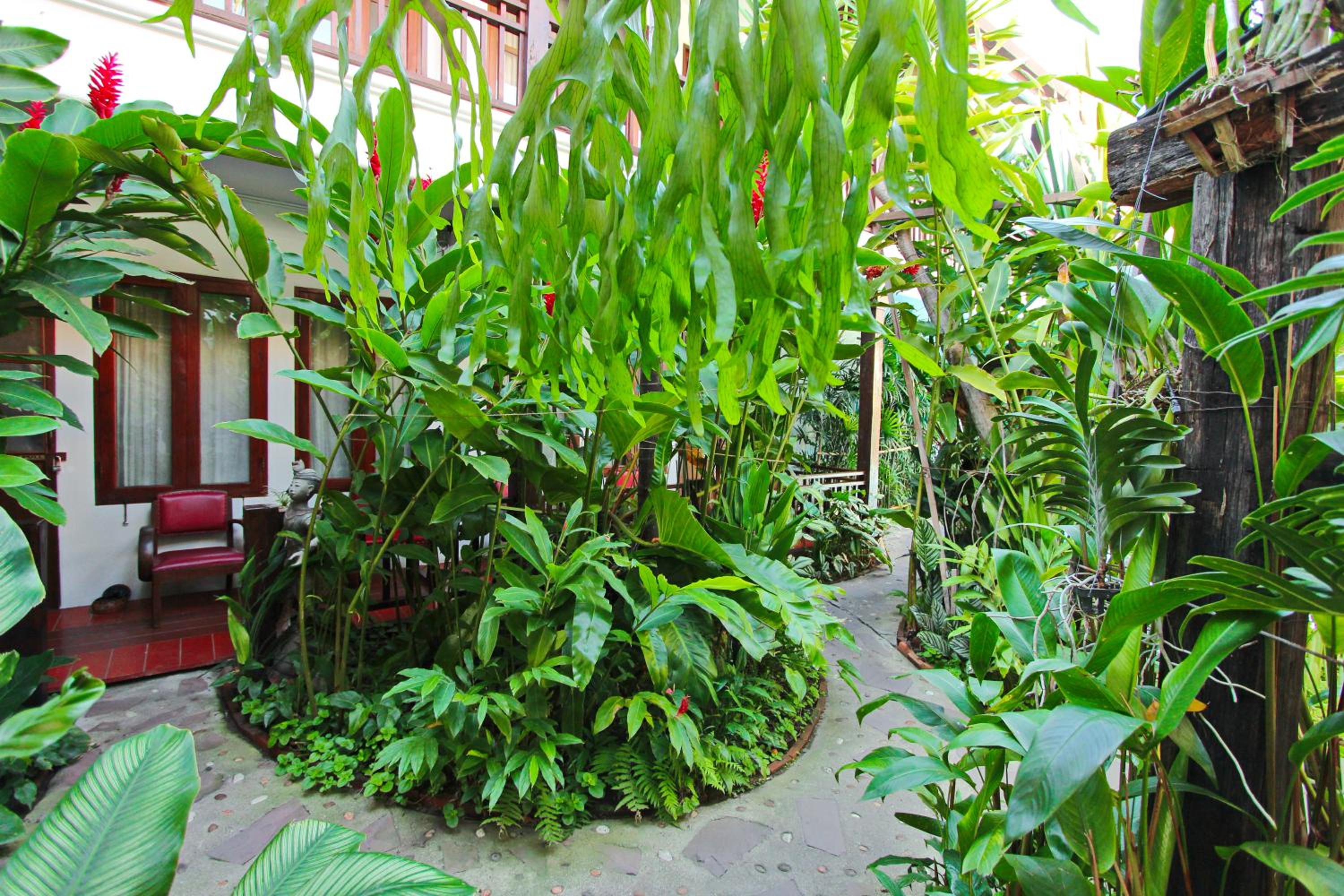 Shewe Wana Boutique Hotel - Image 3