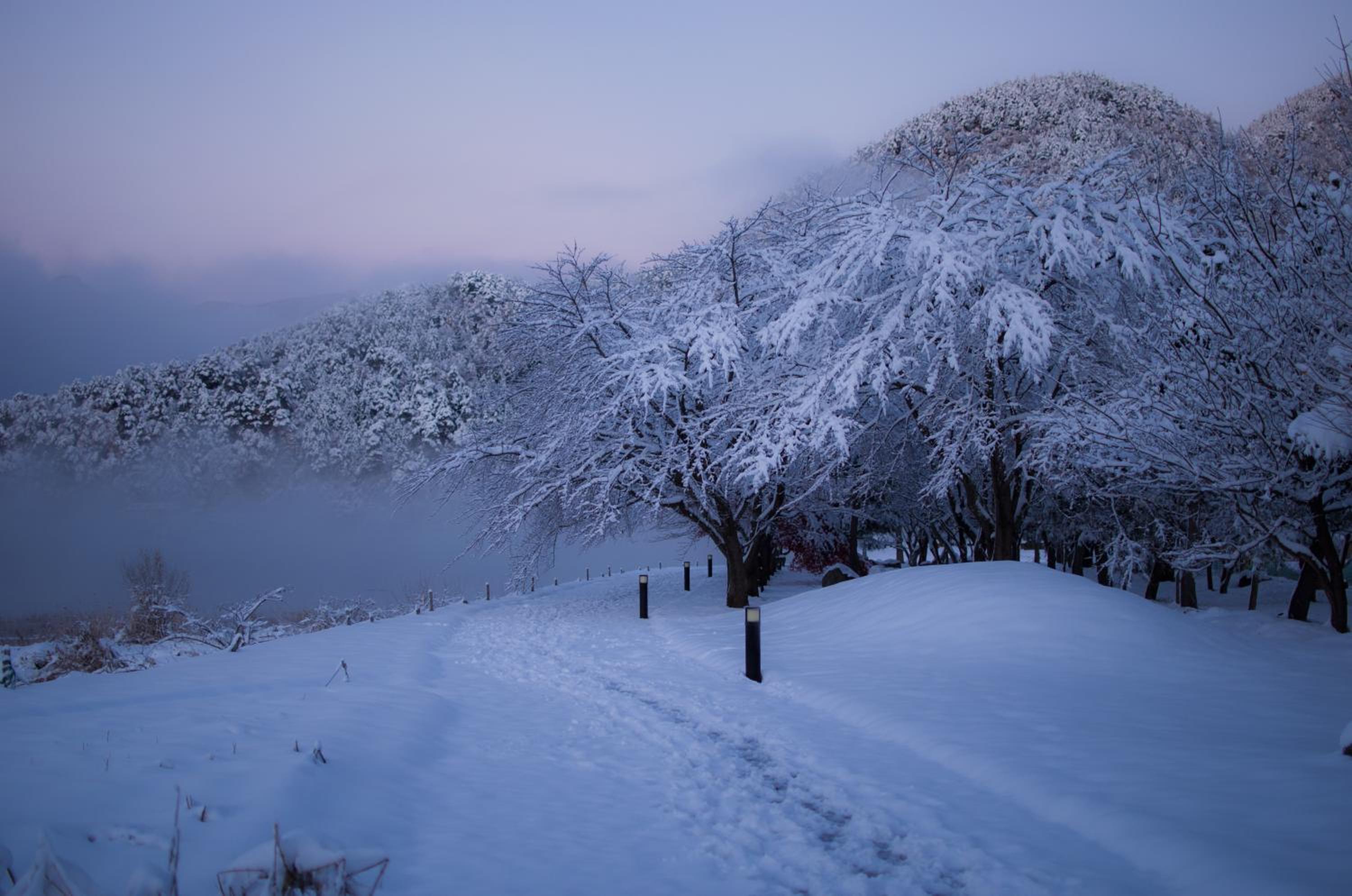 Kawaguchiko Cottage Minami