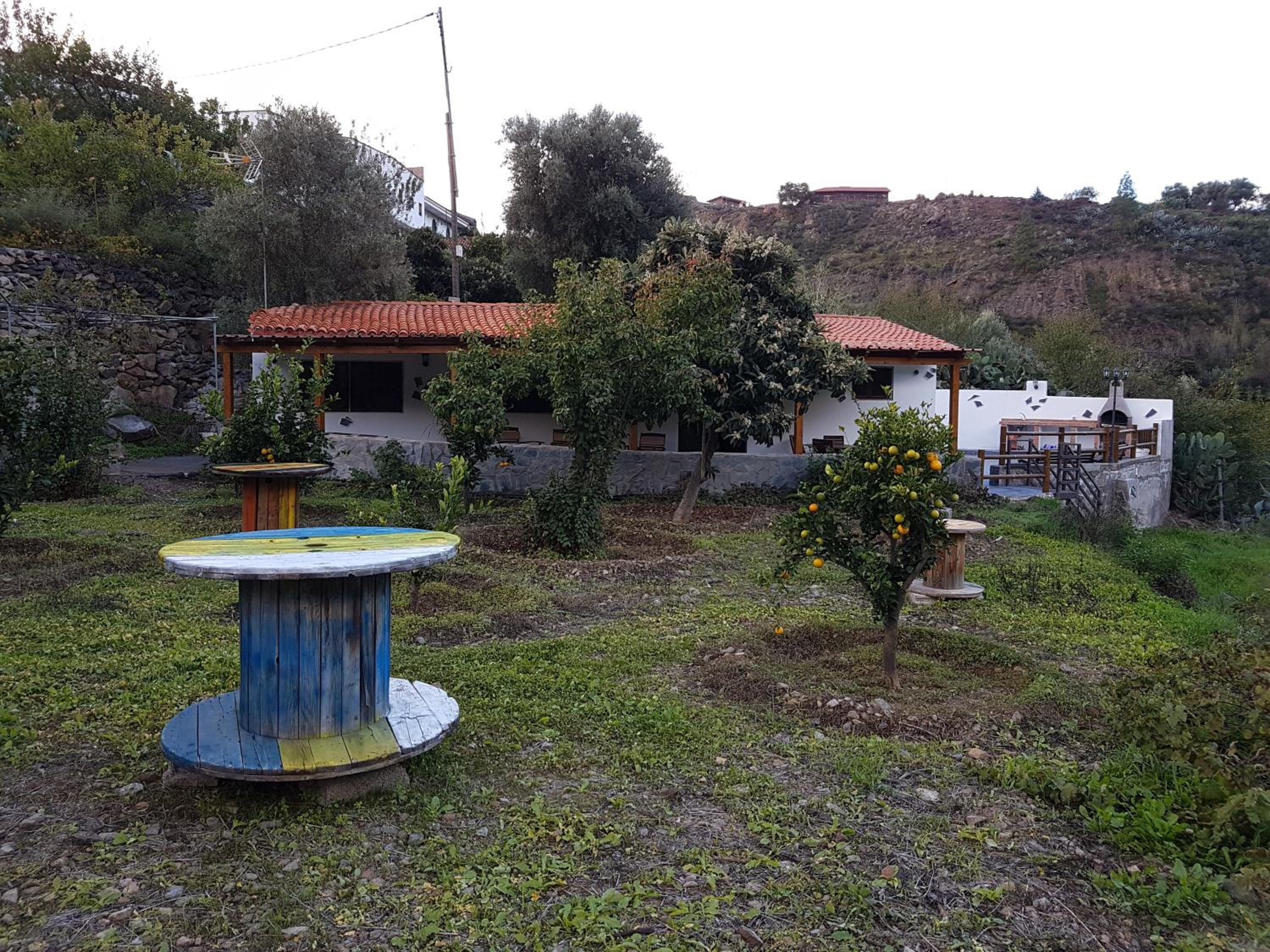 Photo 14