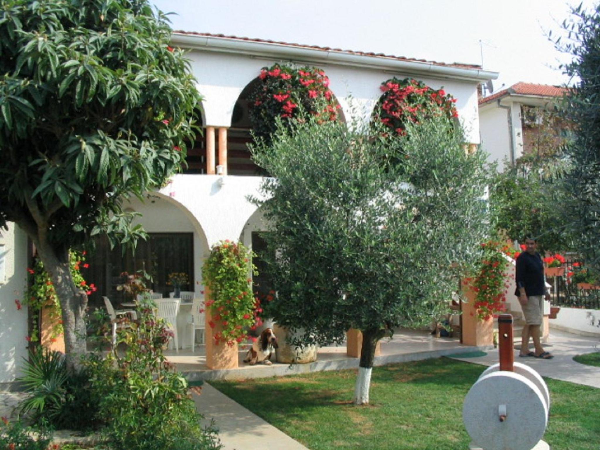 Apartment Dady with a large covered terrace view 2