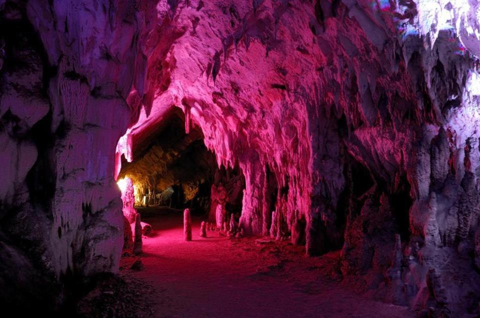 Photo 136