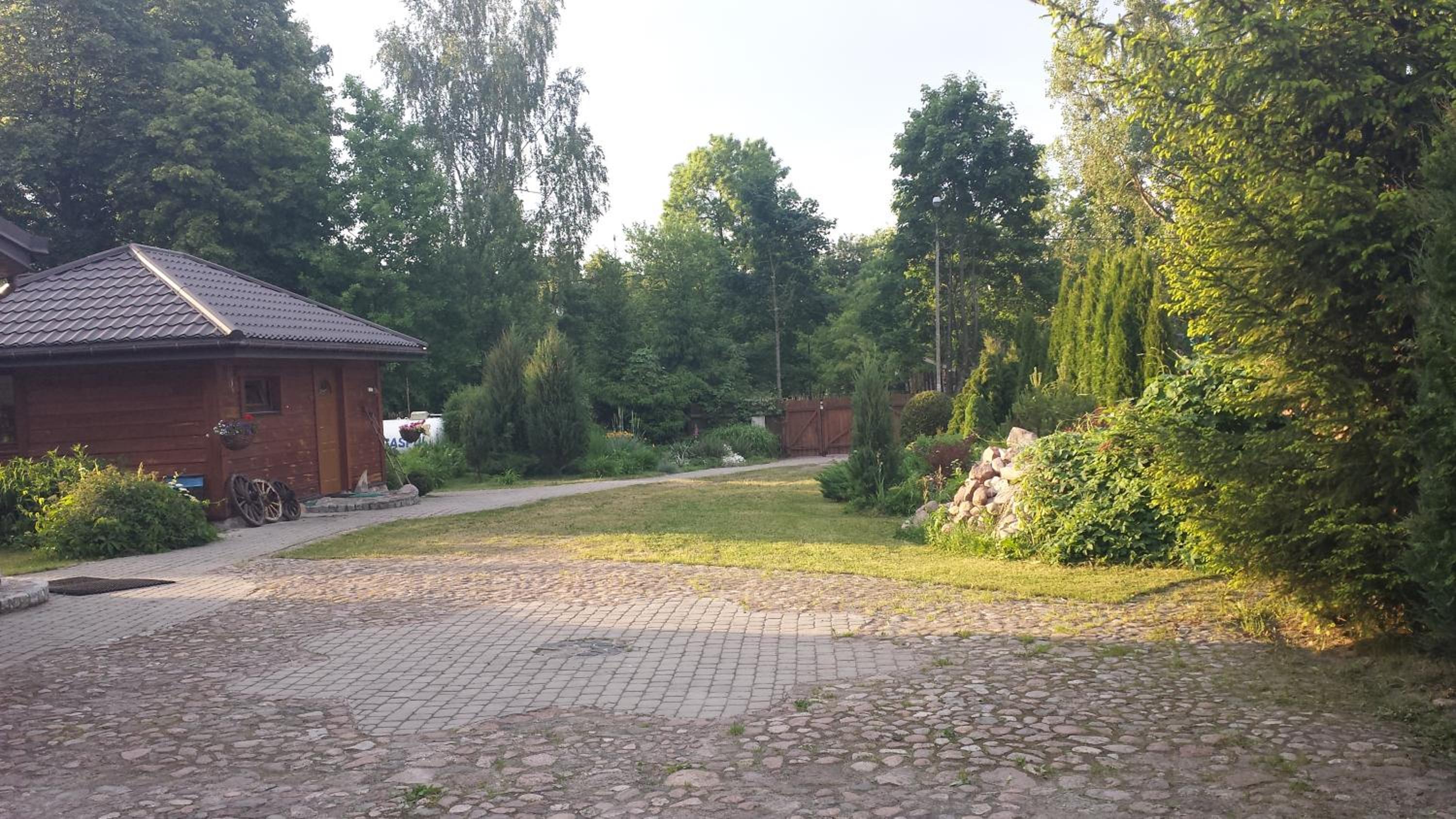 Photo 9