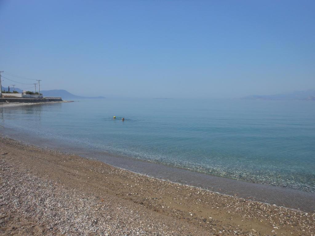 Photo 24