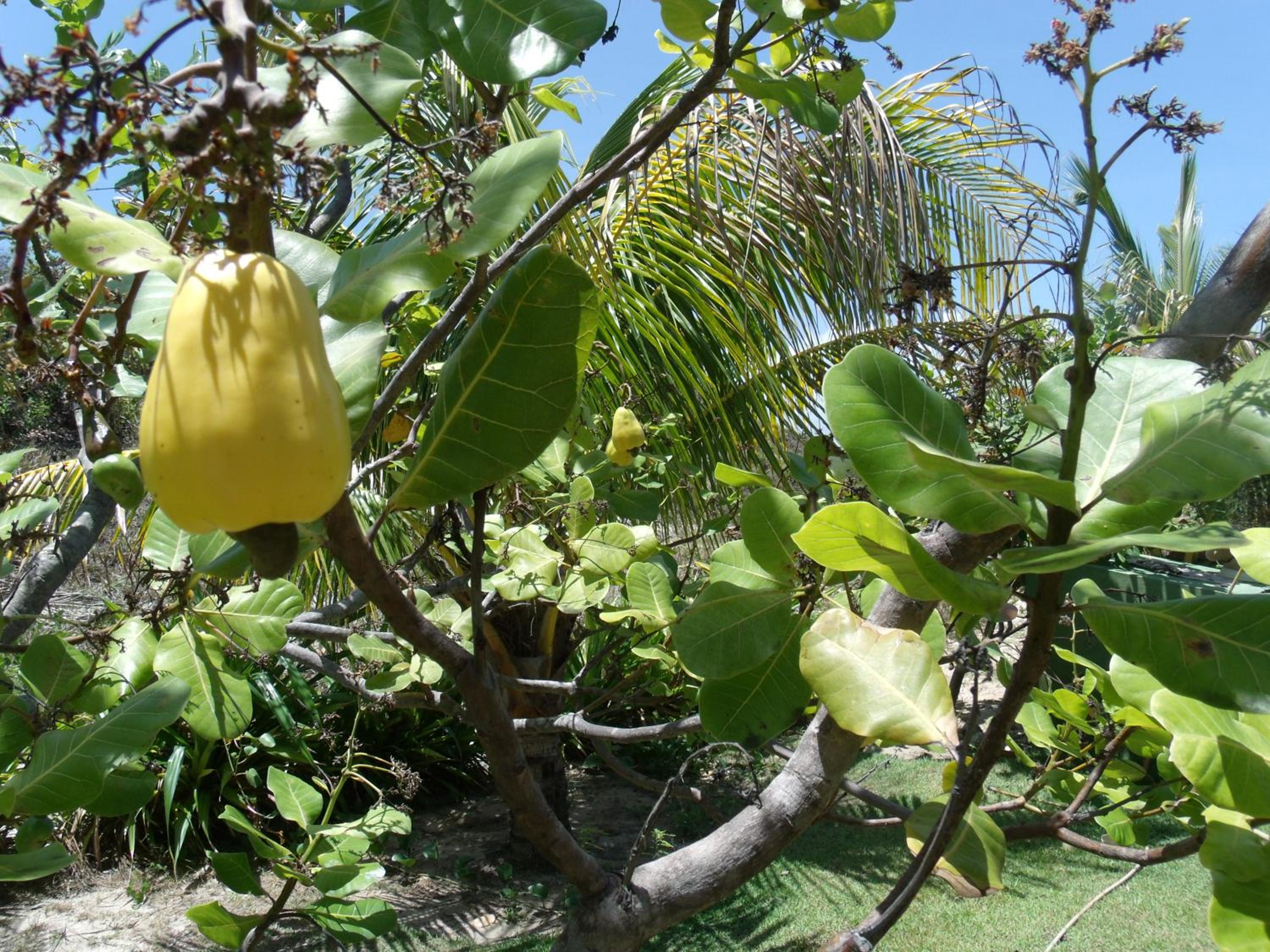 Pousada Villa Verde