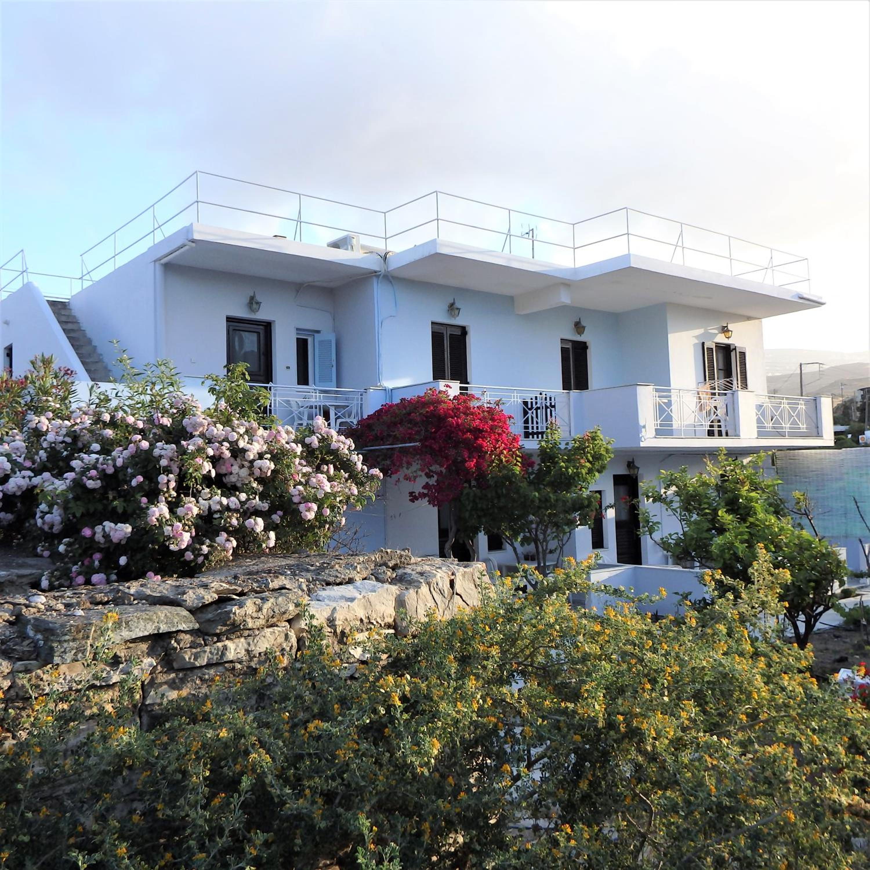 Hotel Alex Studios Tinos - Image 1