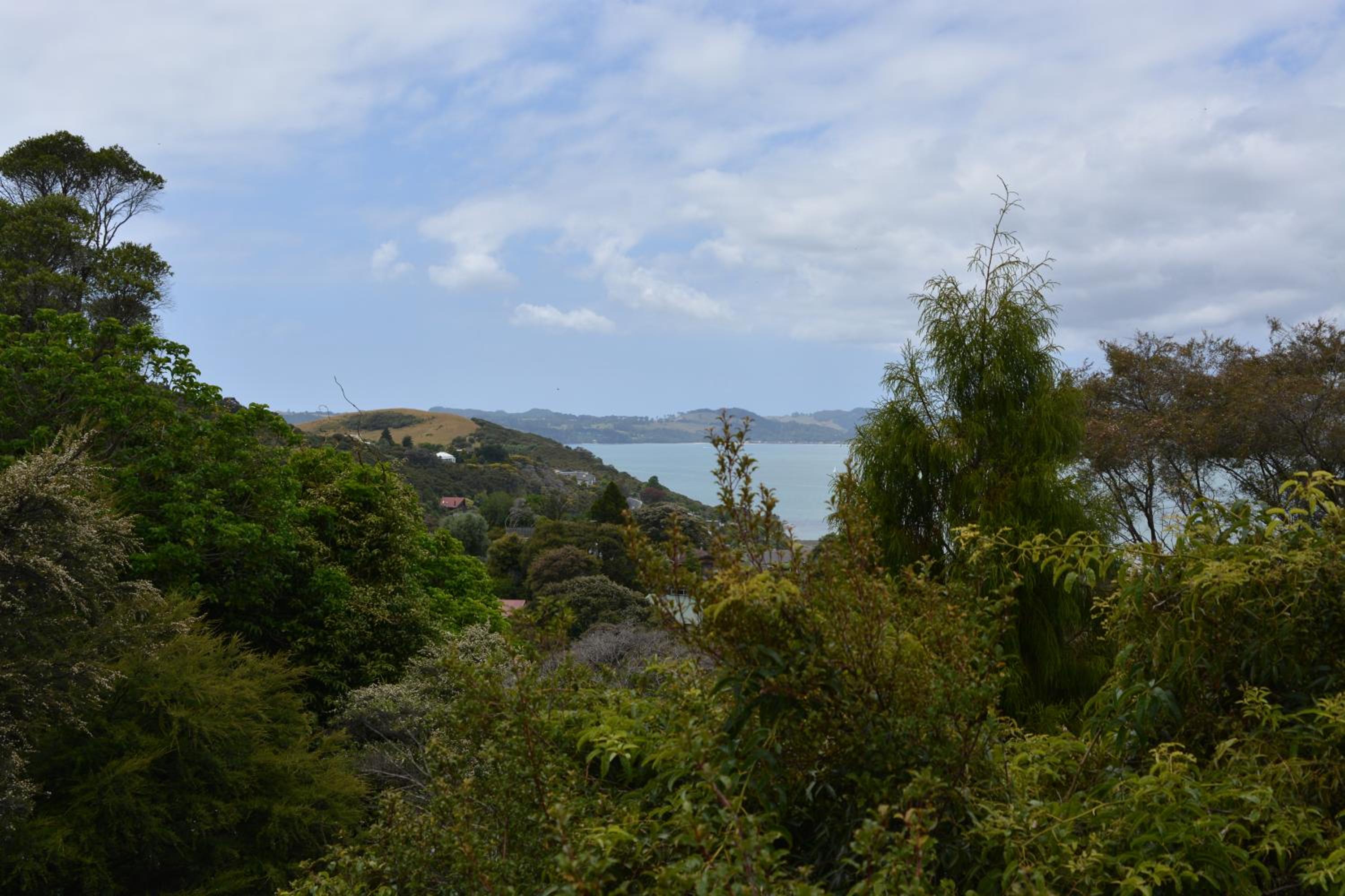 Treetops Cottage at the Castle view 3