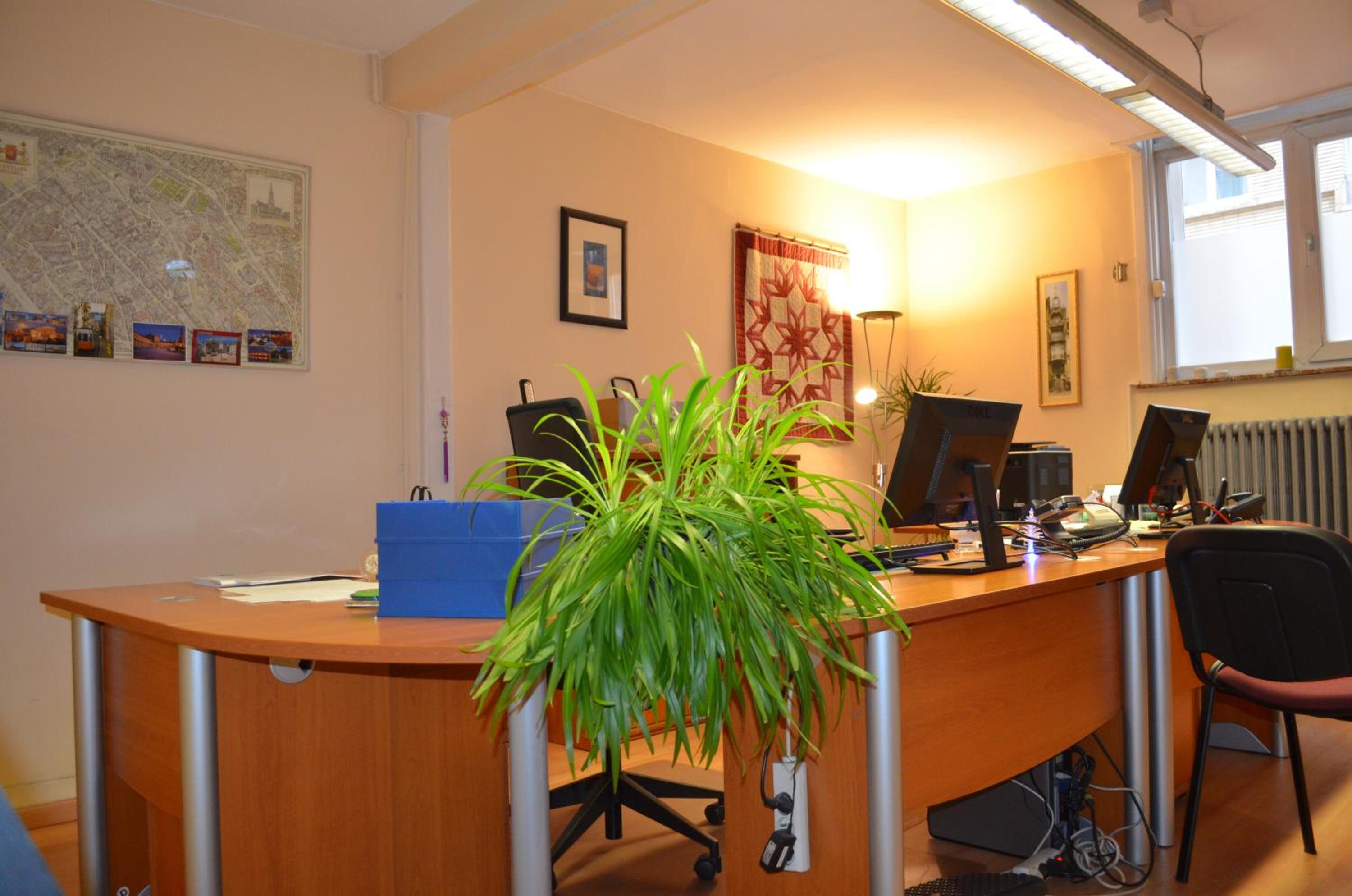 Institute Of Cultural Affairs