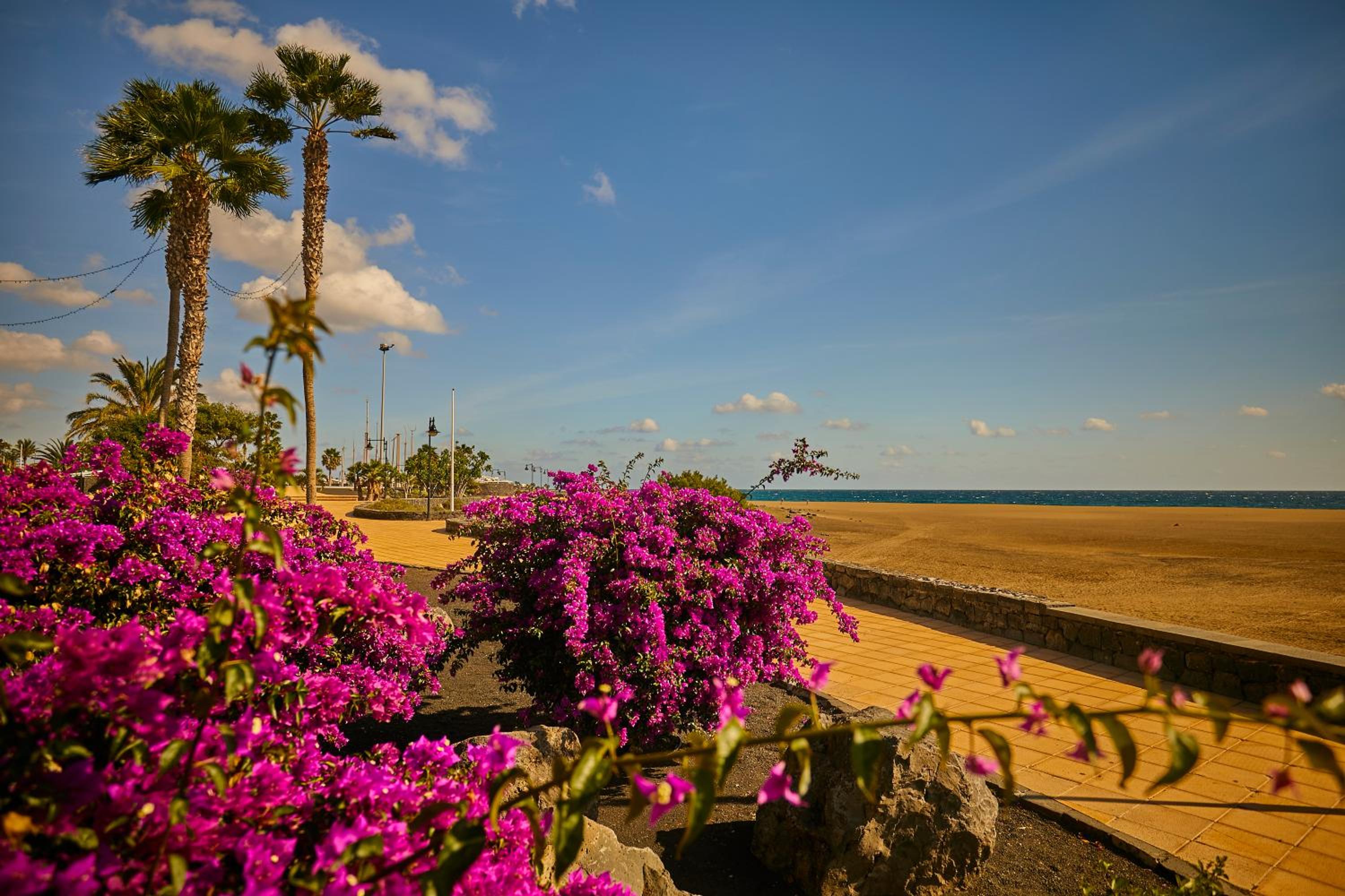Villa Palmeras Beach Puerto del Carmen view 2
