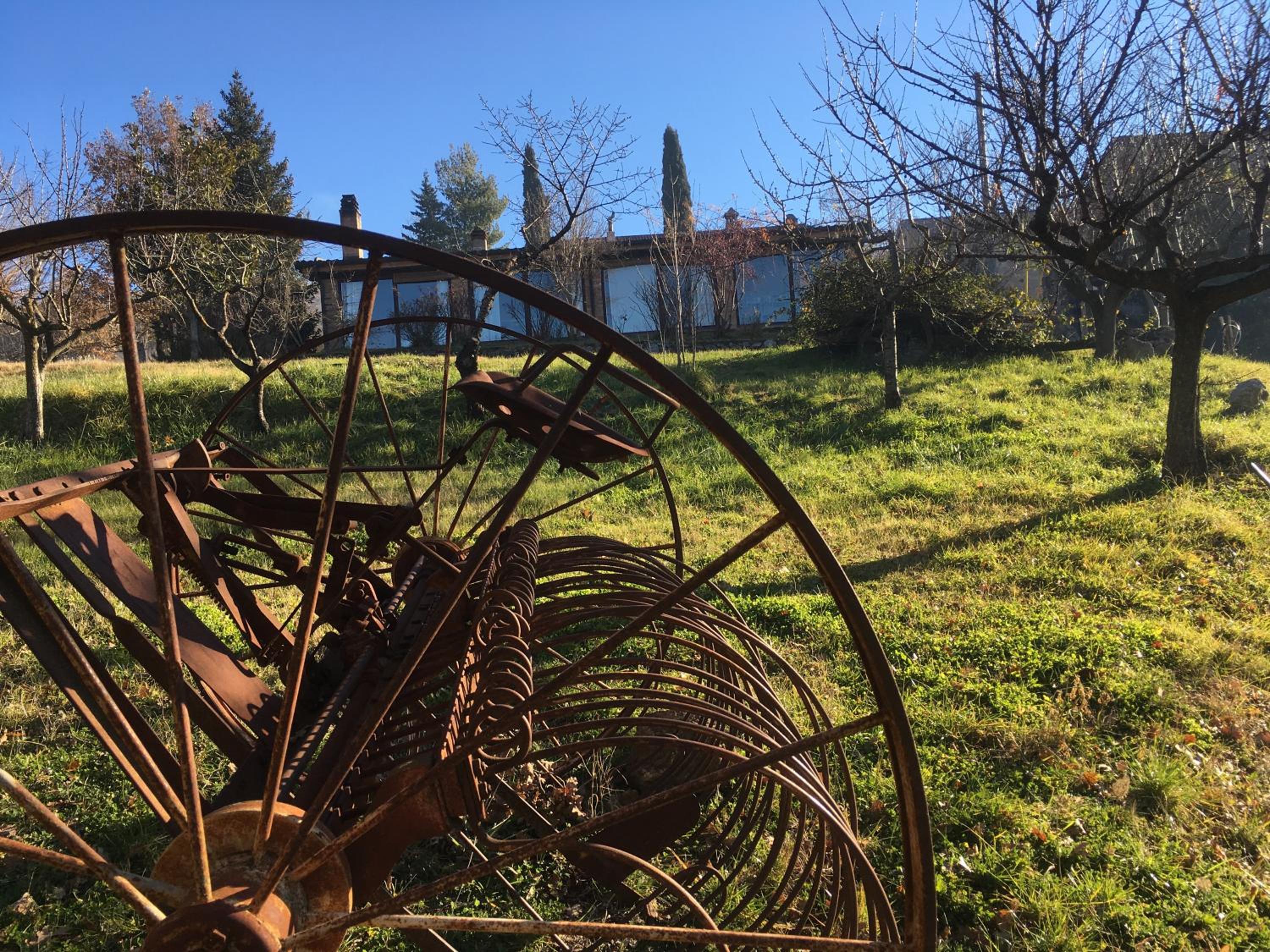 Azienda Agricola Il Querceto