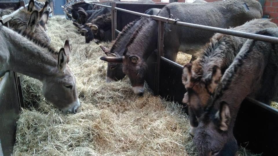 Ferme du Charme