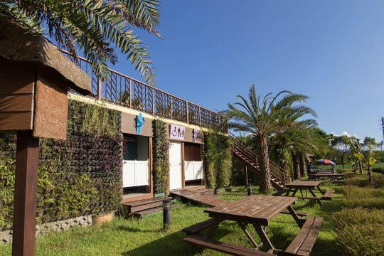 Ruisui Palm Lakes B&B