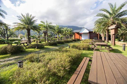 Ruisui Palm Lakes B&B