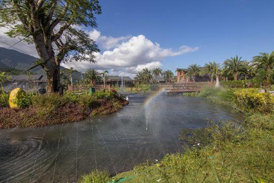 Ruisui Palm Lakes B&B