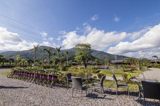 Ruisui Palm Lakes B&B
