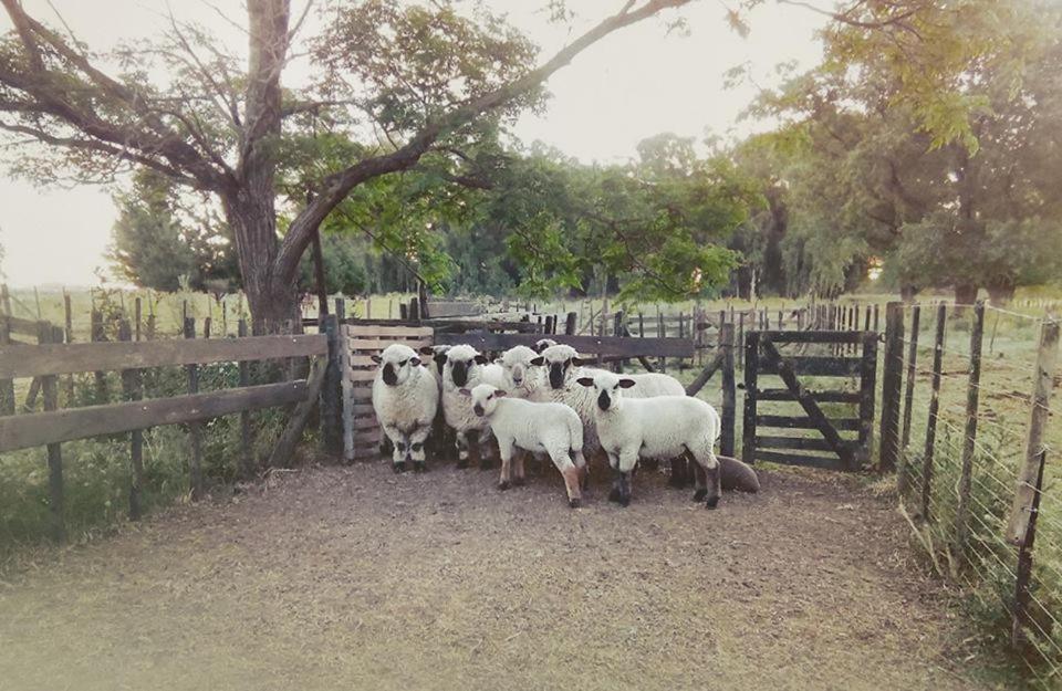 Chacras de Azcona Hostería