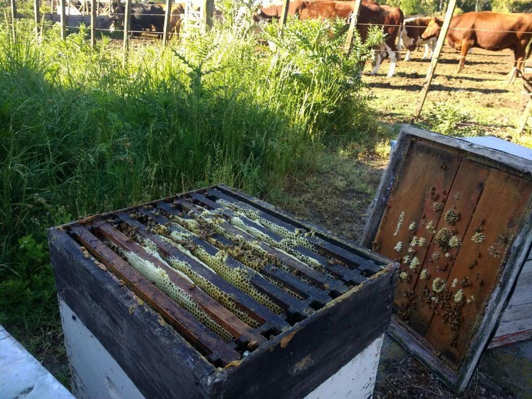 Chacras de Azcona Hostería