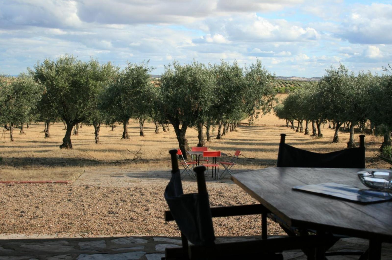 Herdade do Monte Outeiro - Turismo Rural view 4
