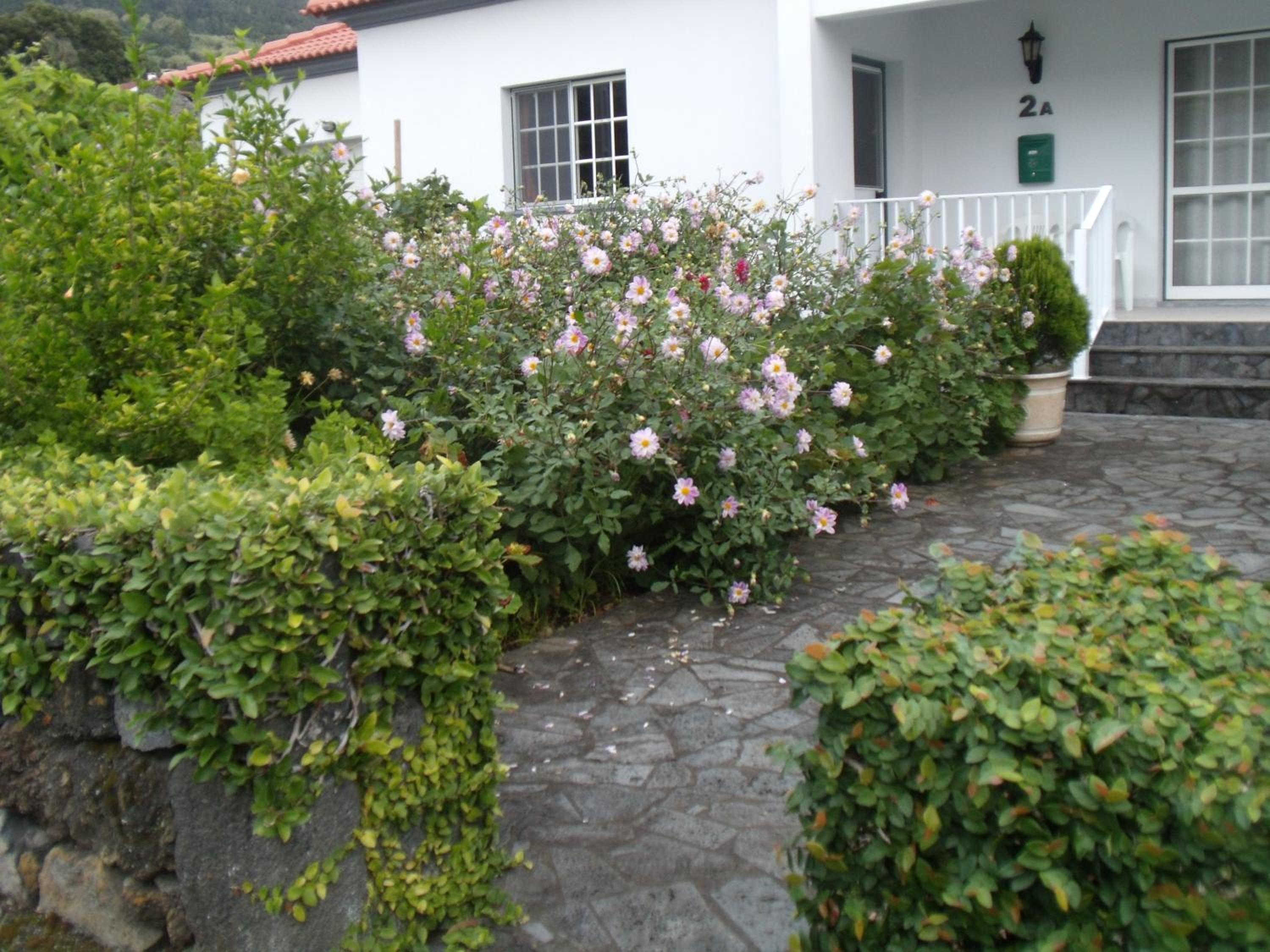 Tropical Fruit Garden view 3