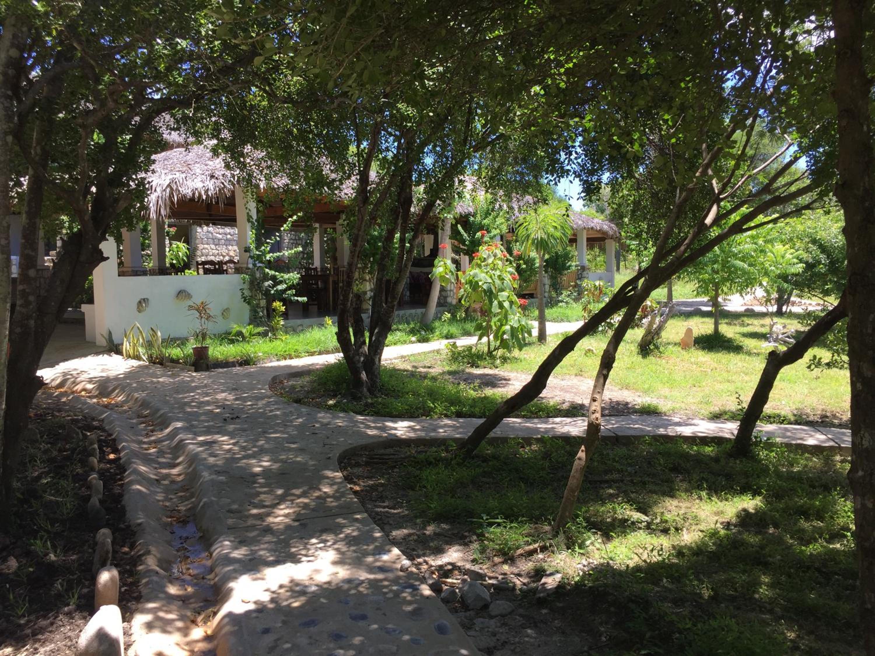 Photo 44
