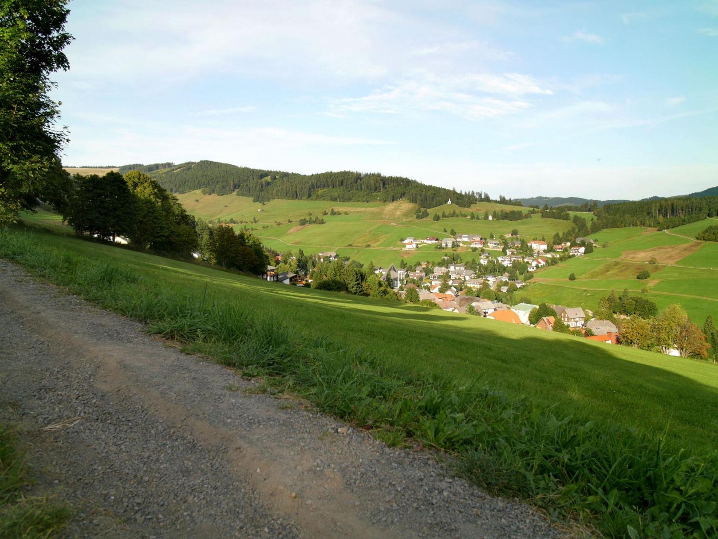 Photo 22