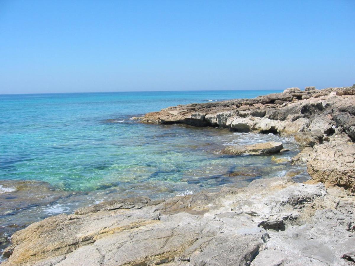 Il Gabbiano