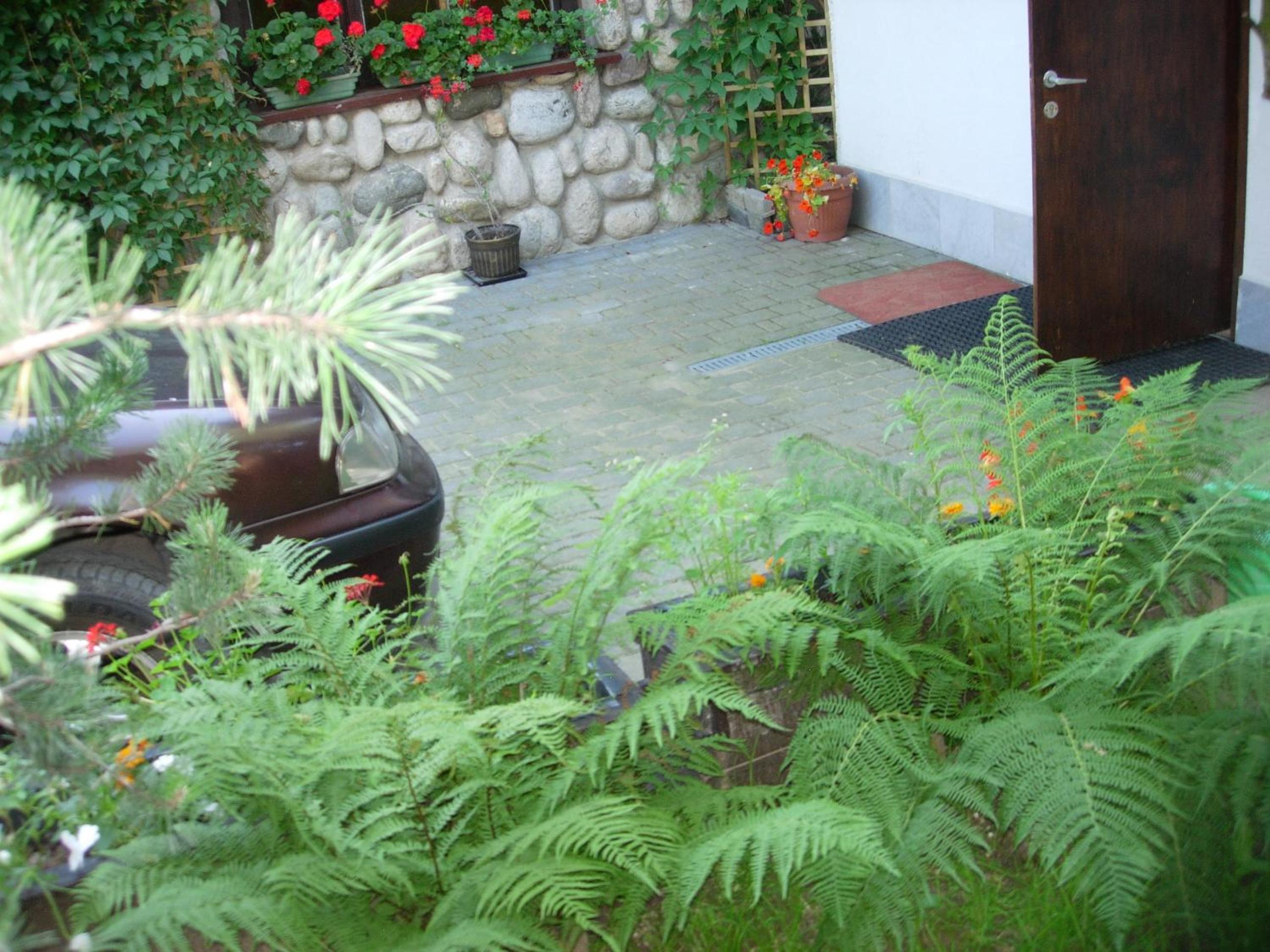 Photo 43