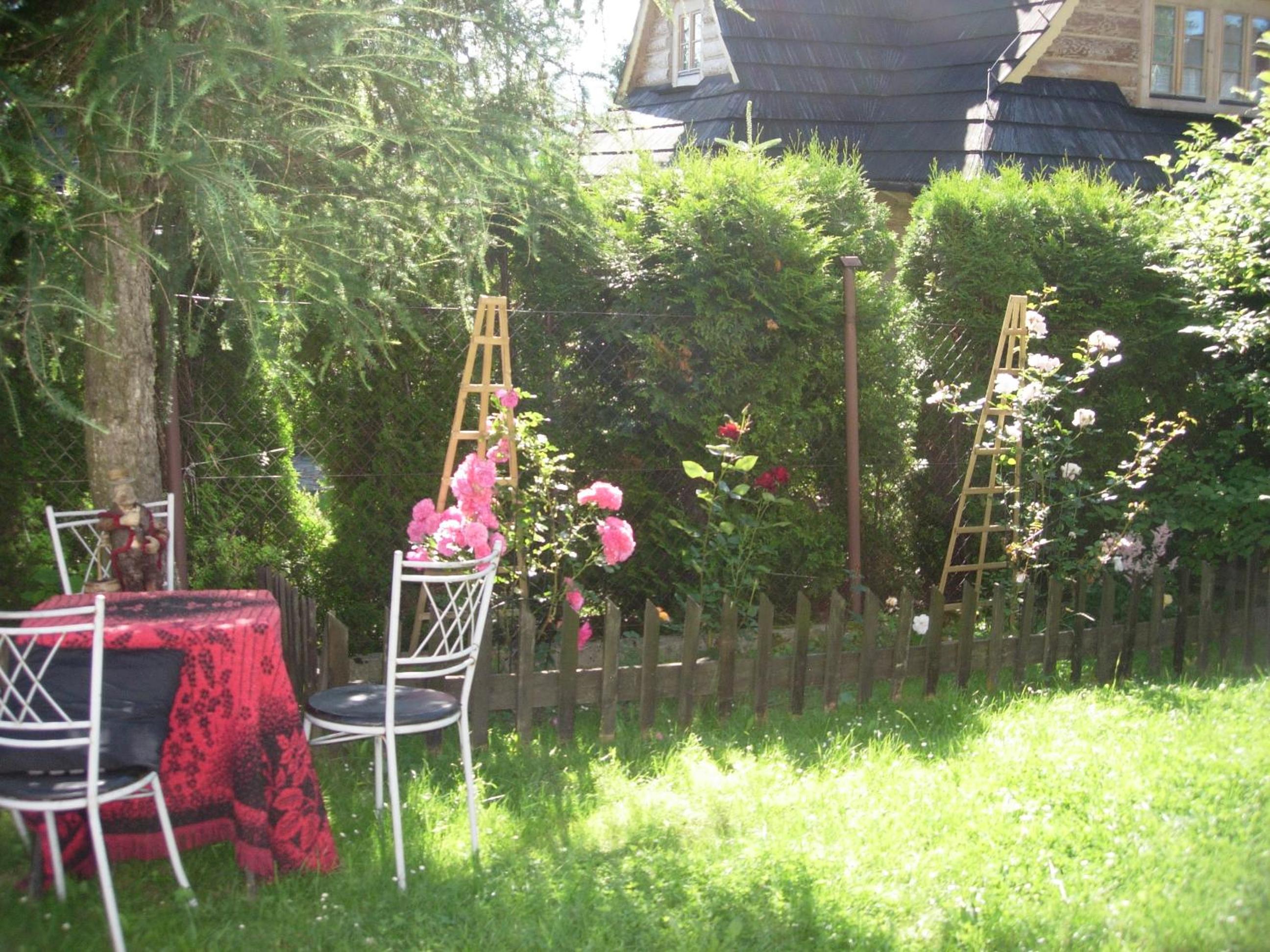 Photo 40
