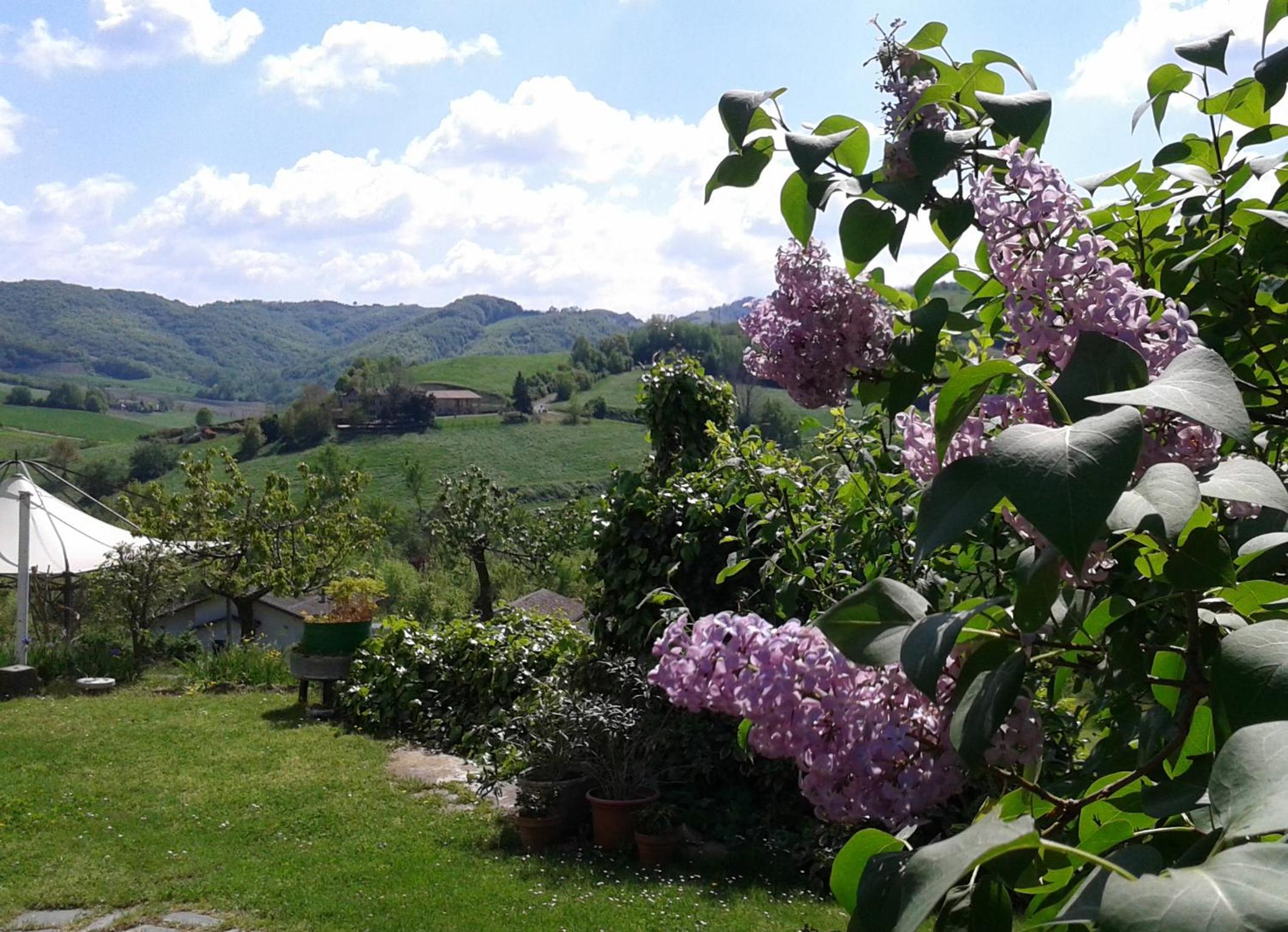 Casa Bruna Appartamenti view 5