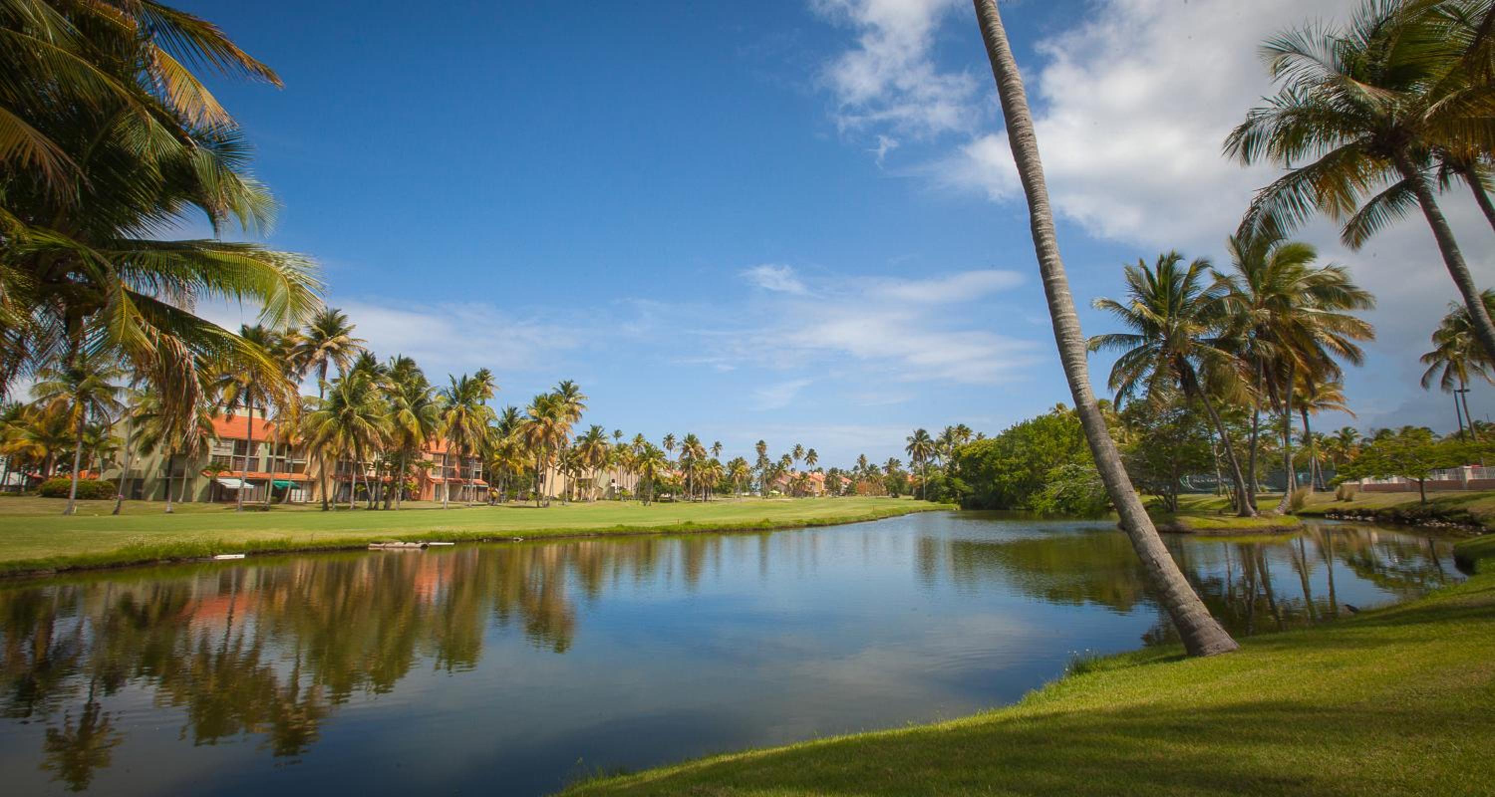 Park Royal Club Cala - Photo 35