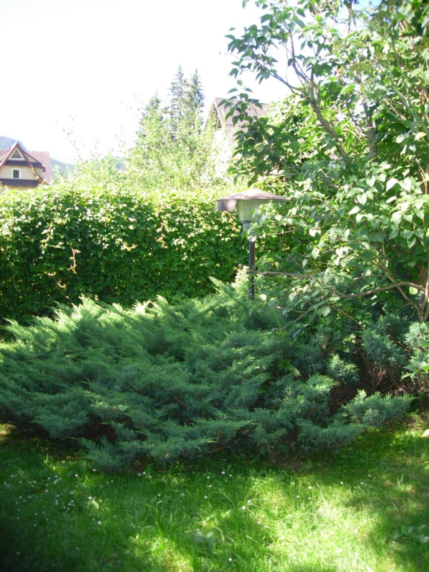 Photo 37