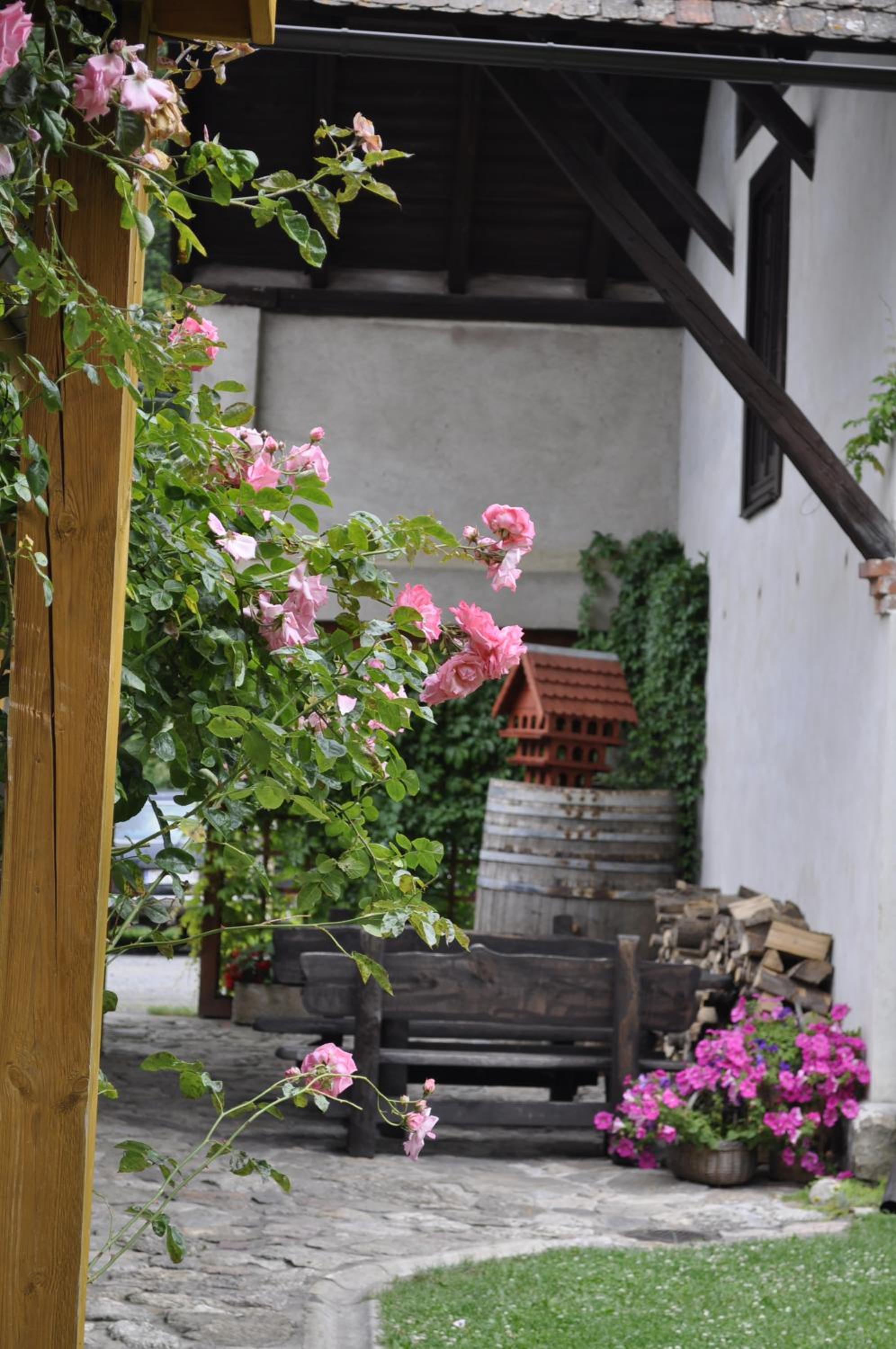 Photo 23