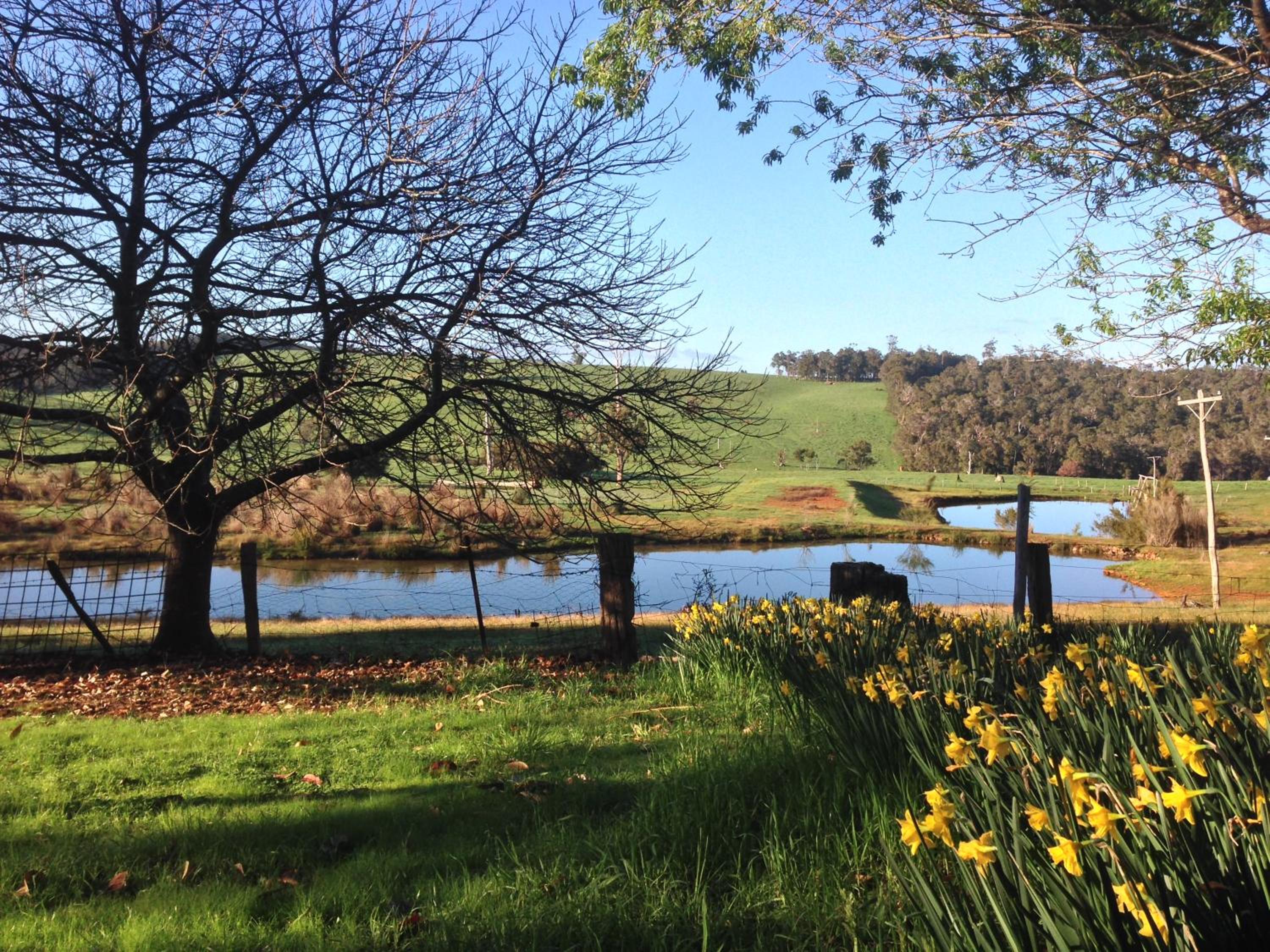 Chestnut Brae Farmstay - Chestnut Retreat